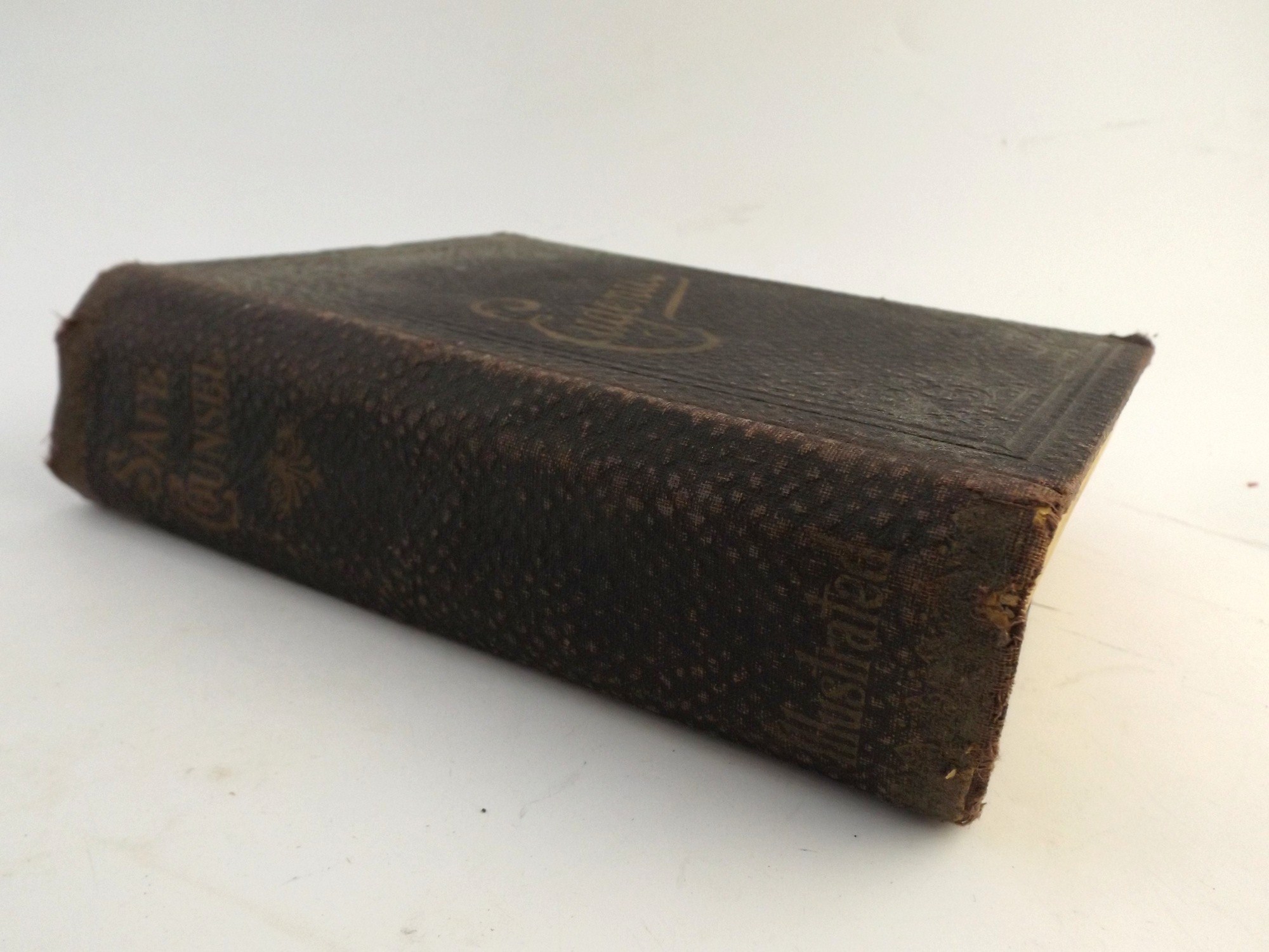 1914 Book on Eugenics 