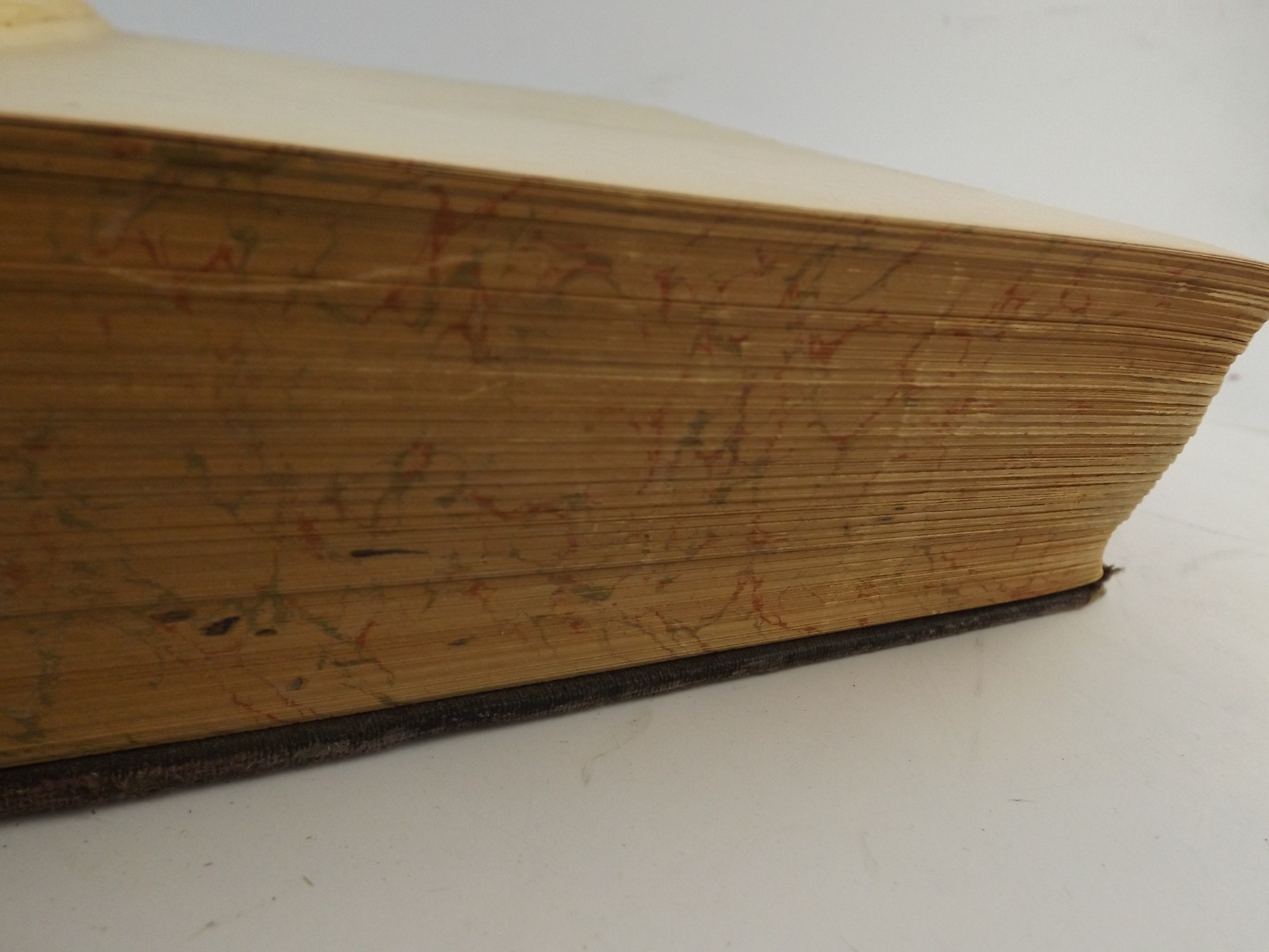 1914 Book on Eugenics 