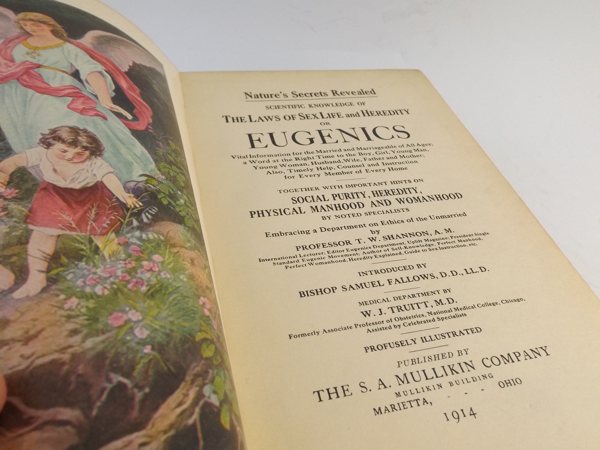 1914 Book on Eugenics 
