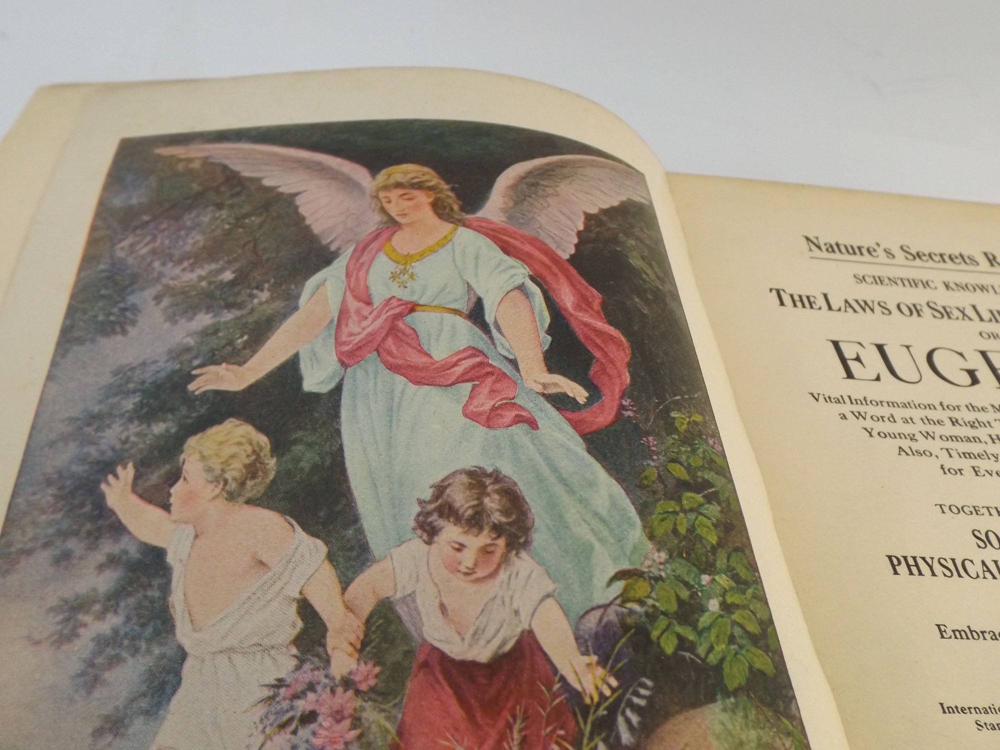 1914 Book on Eugenics 