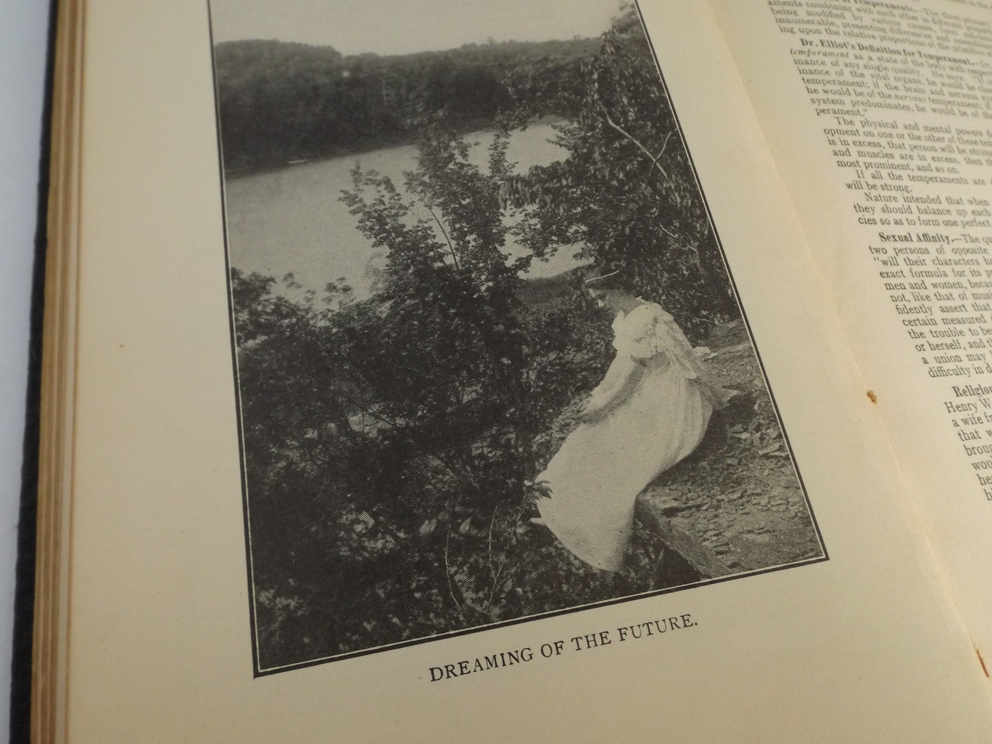 1914 Book on Eugenics 