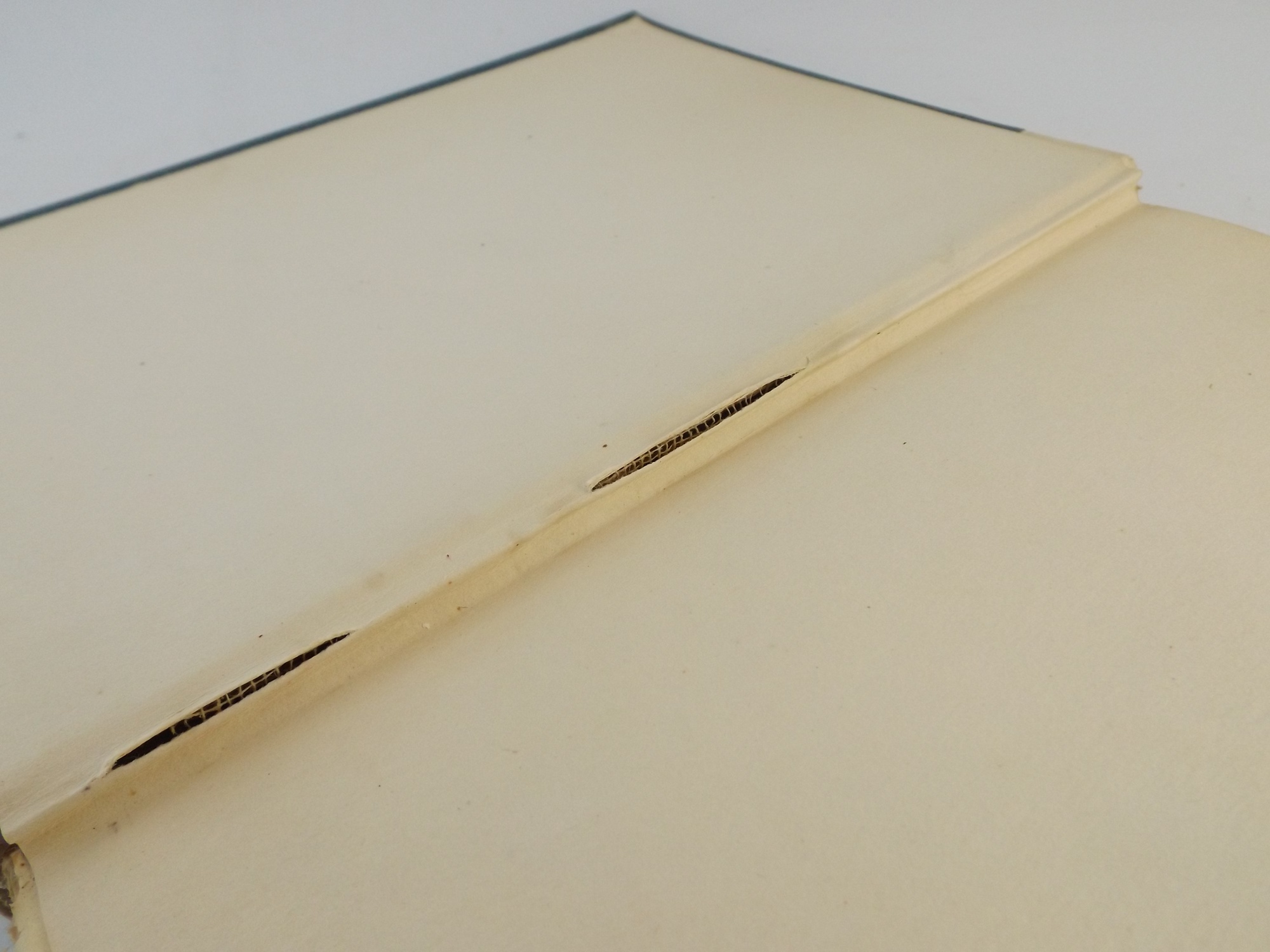 'The Liberators' by Elbert Hubbard