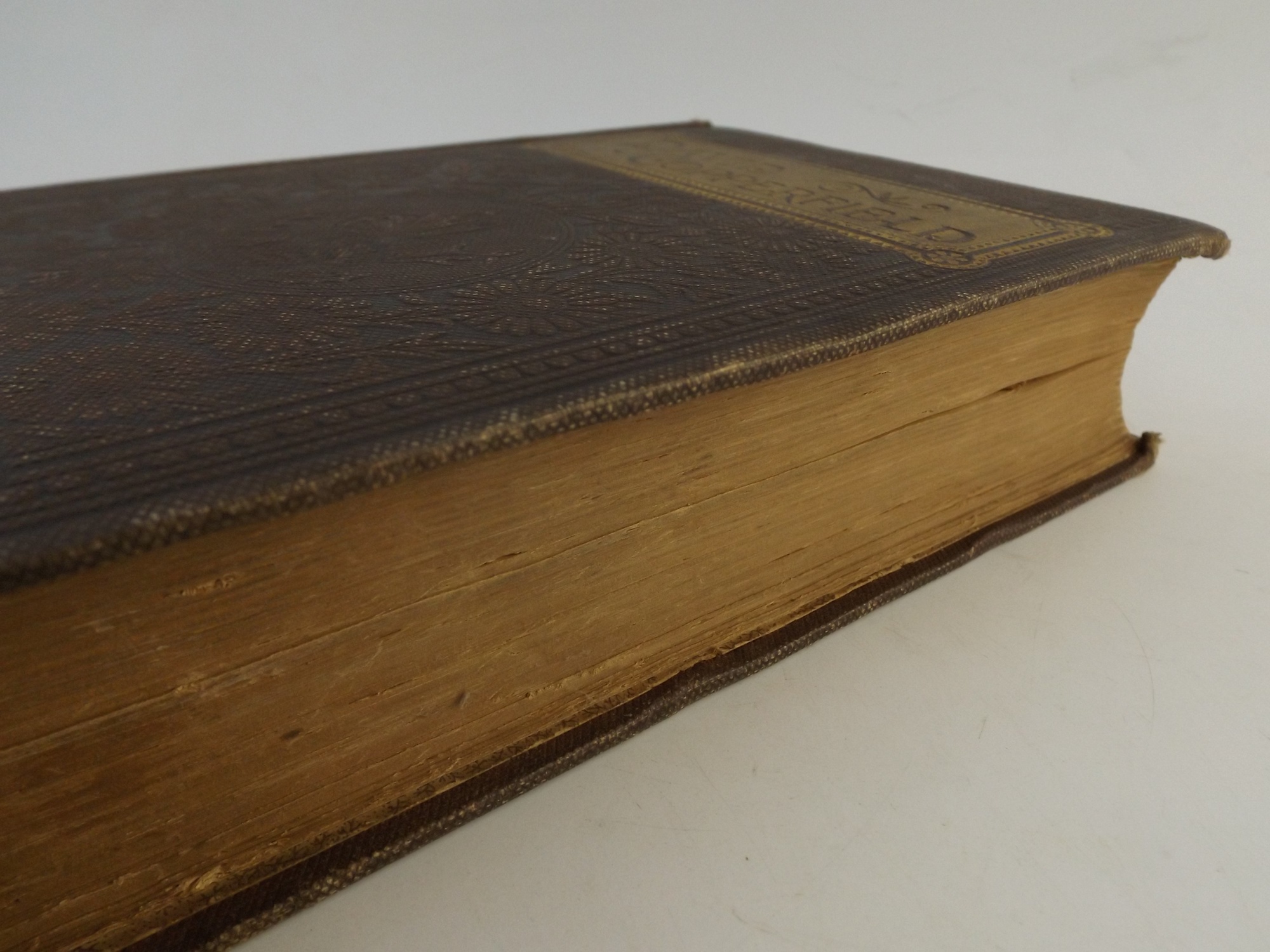 'David Copperfield' by Charles dickens