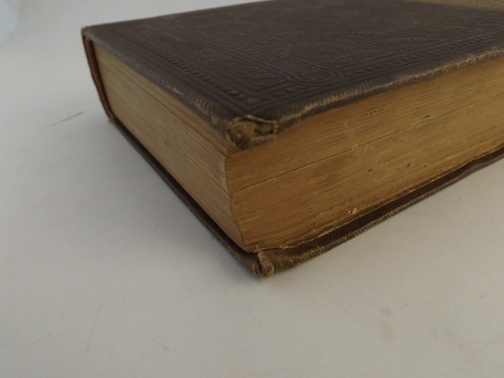 'David Copperfield' by Charles dickens