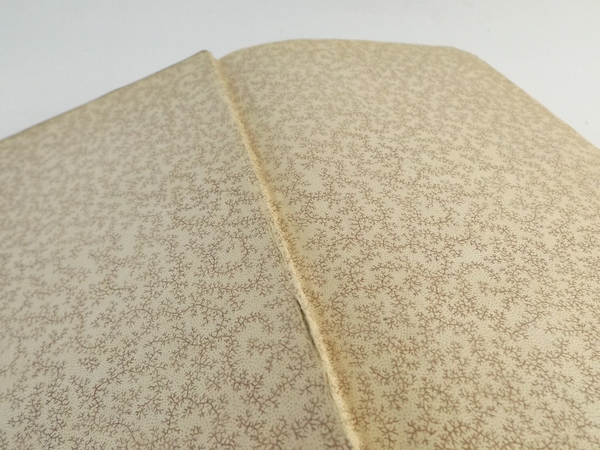 'David Copperfield' by Charles dickens