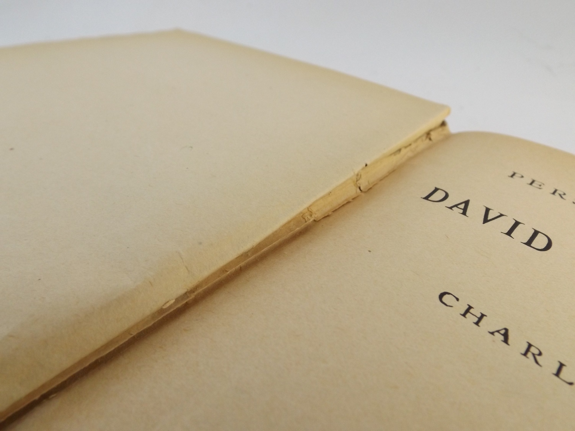 'David Copperfield' by Charles dickens
