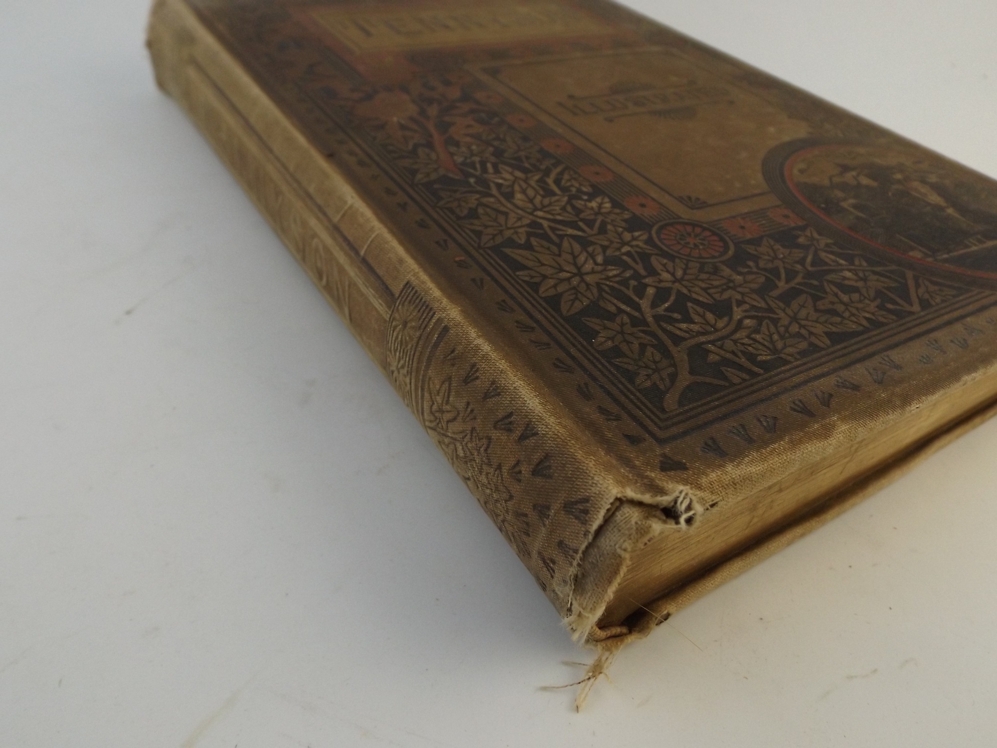 Illustrated Tennyson Book of Poetry