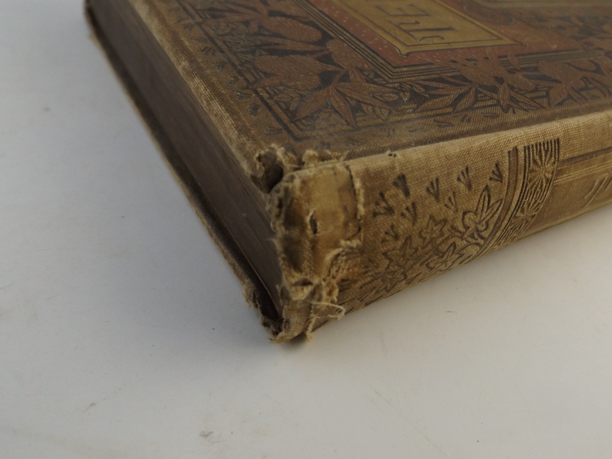 Illustrated Tennyson Book of Poetry
