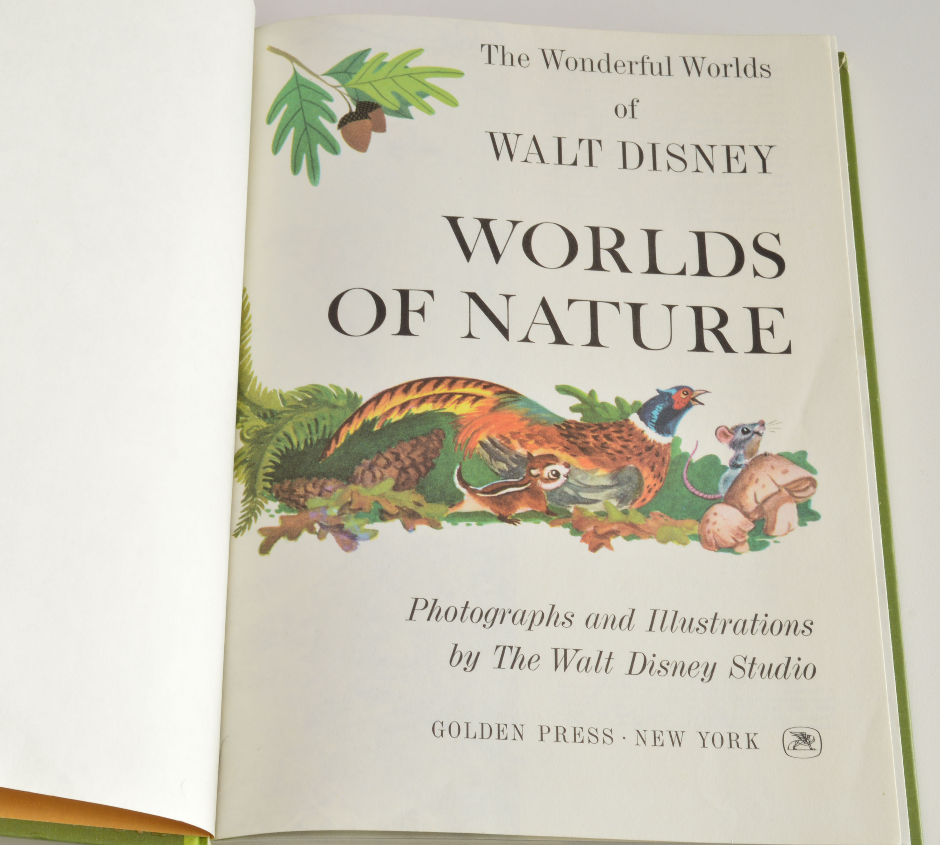 "The Wonderful World of Walt Disney" Book Set