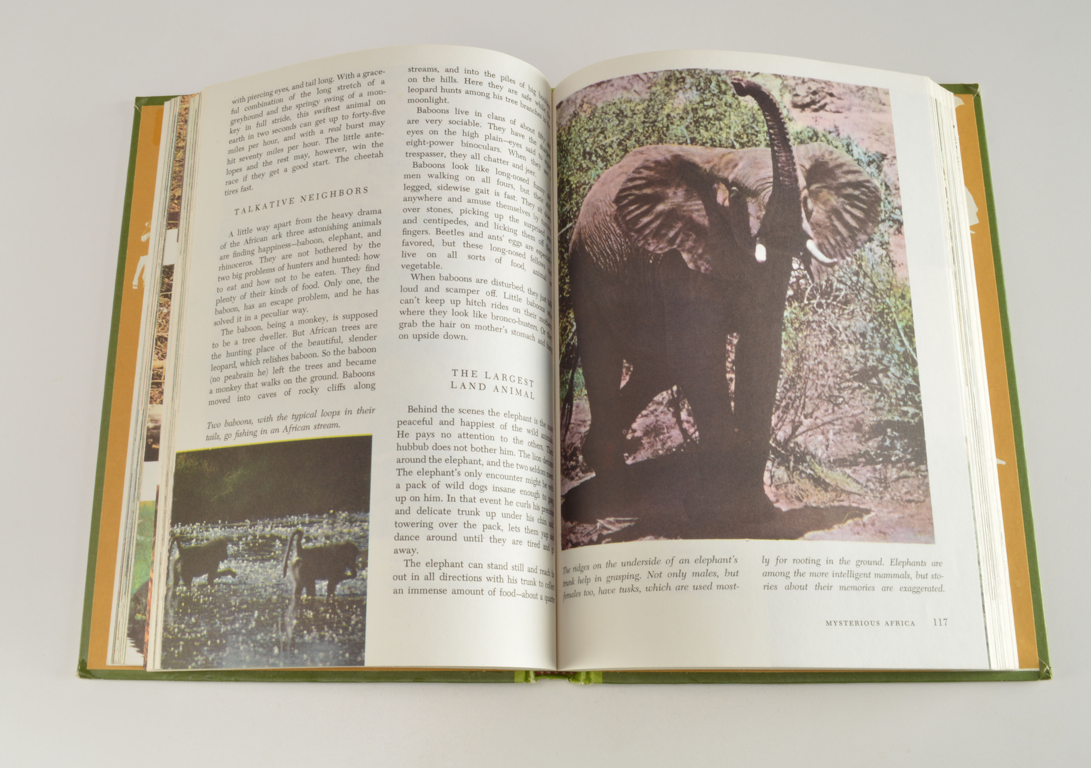 "The Wonderful World of Walt Disney" Book Set