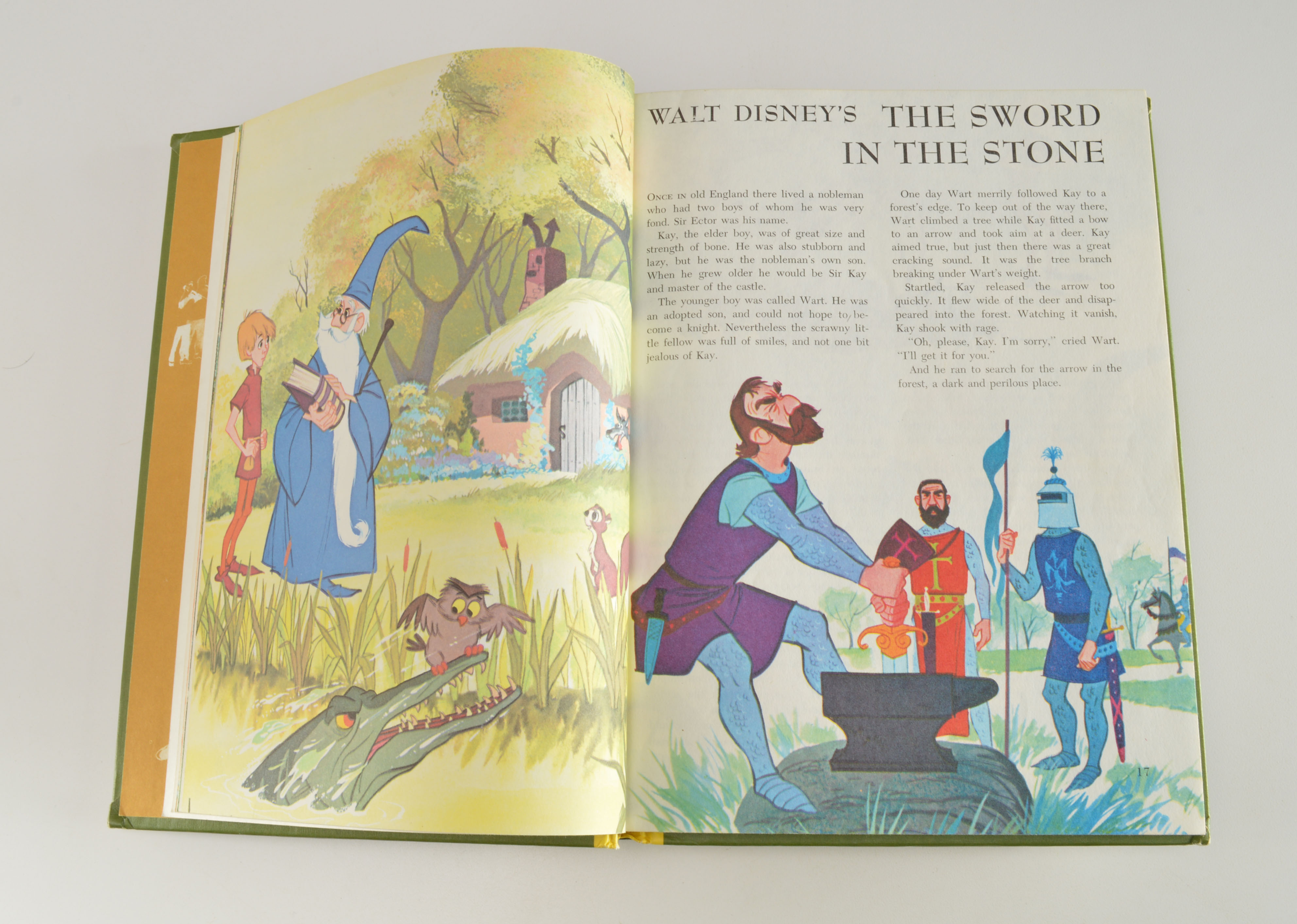 "The Wonderful World of Walt Disney" Book Set