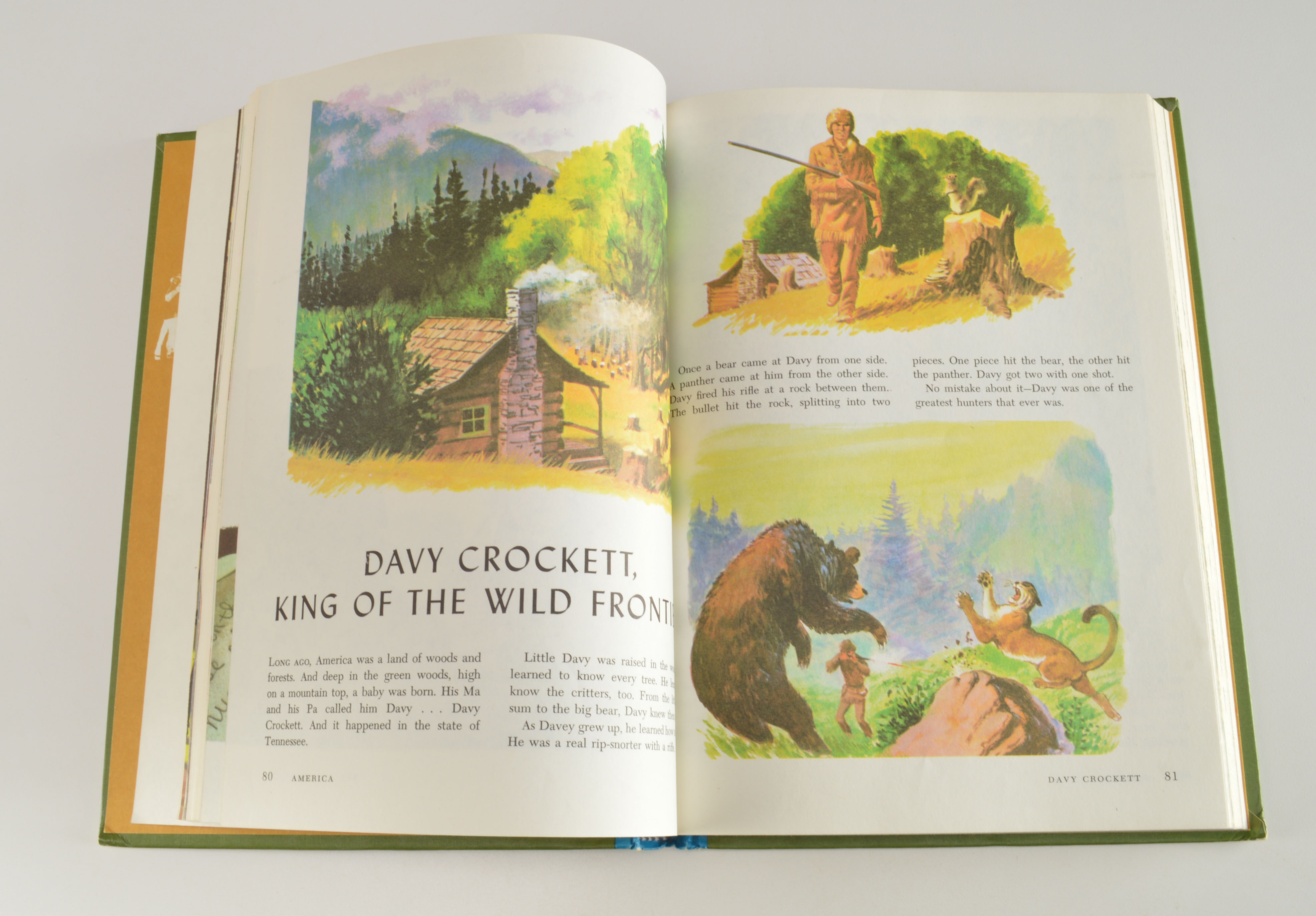 "The Wonderful World of Walt Disney" Book Set