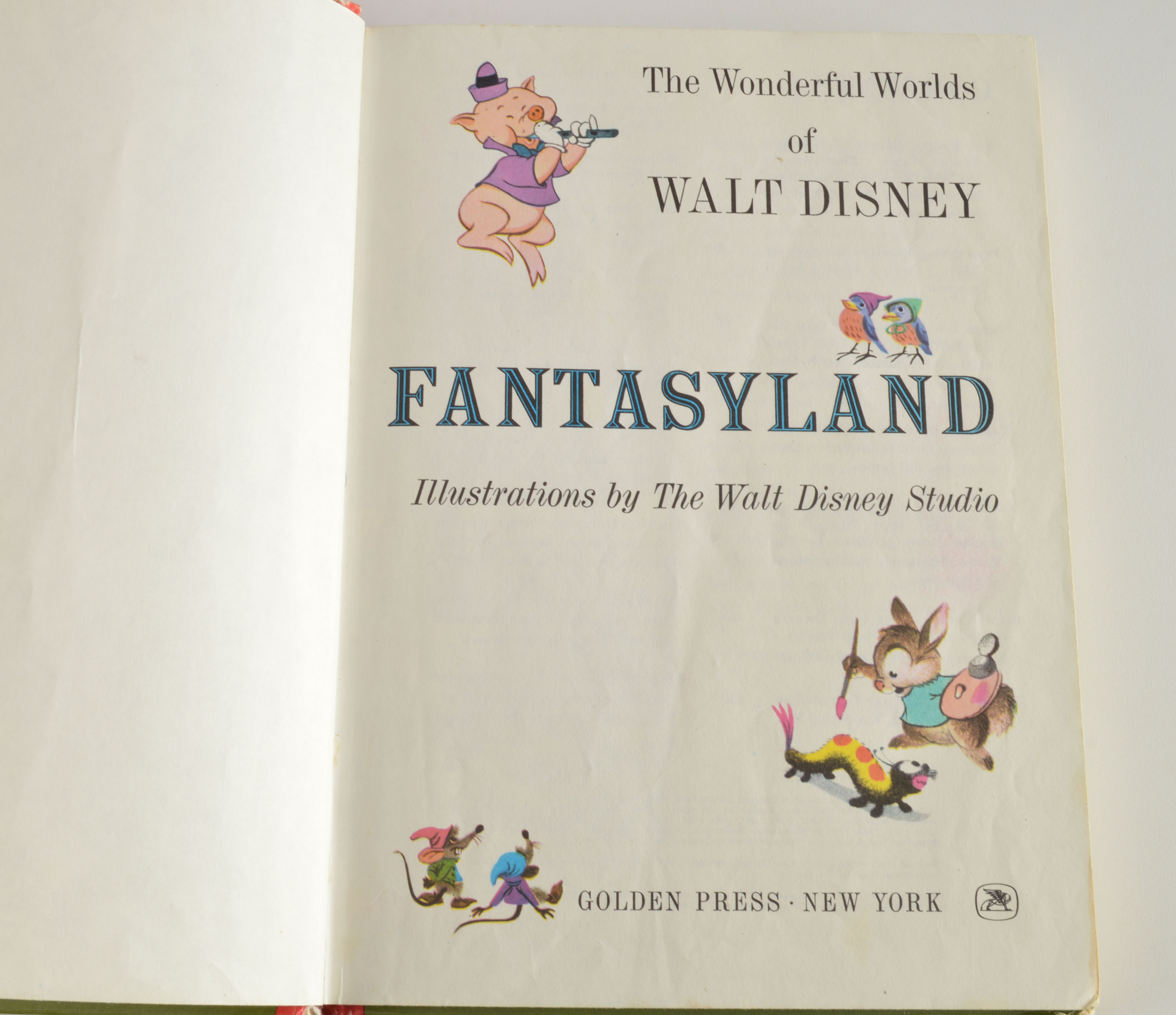 "The Wonderful World of Walt Disney" Book Set