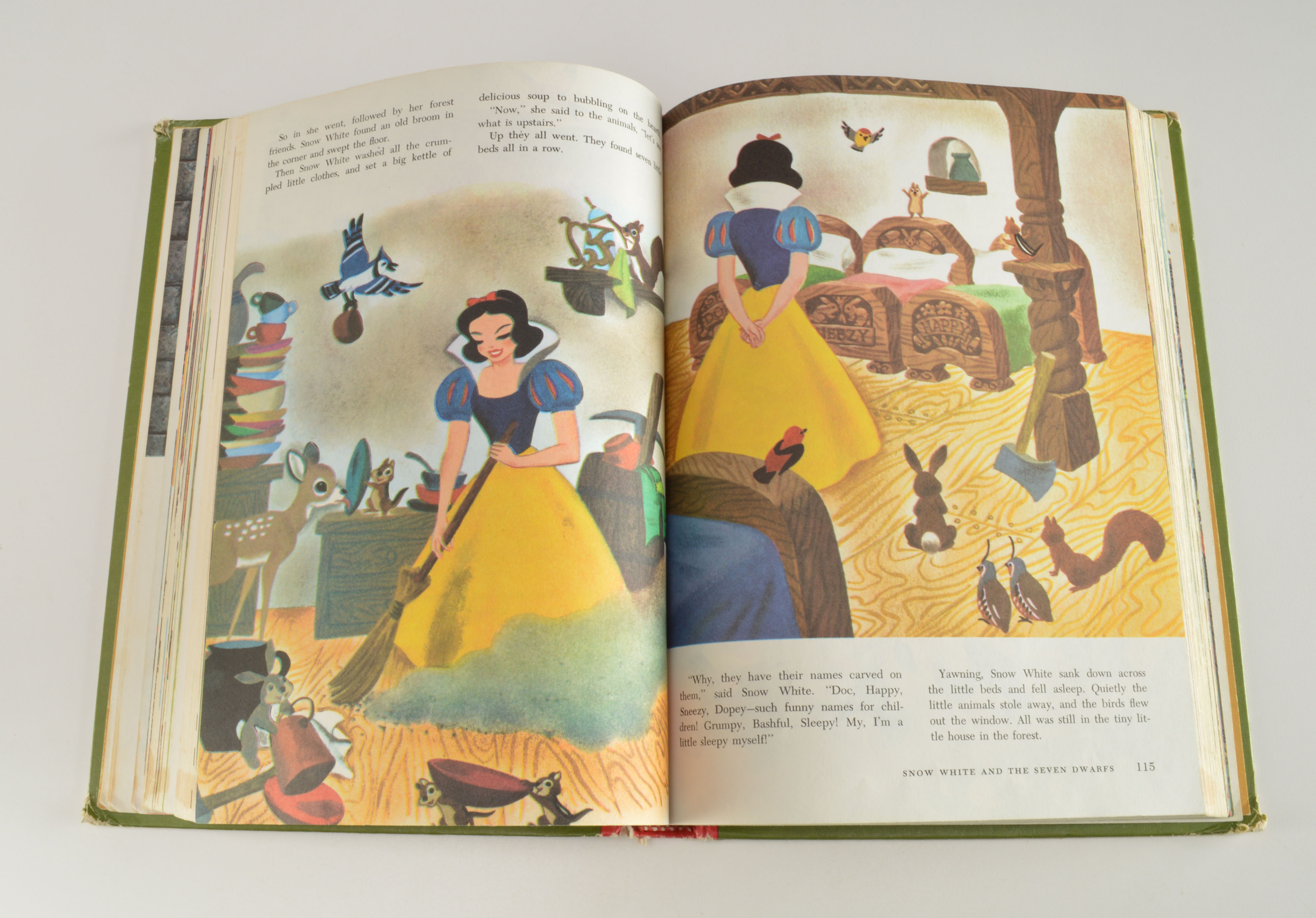 "The Wonderful World of Walt Disney" Book Set