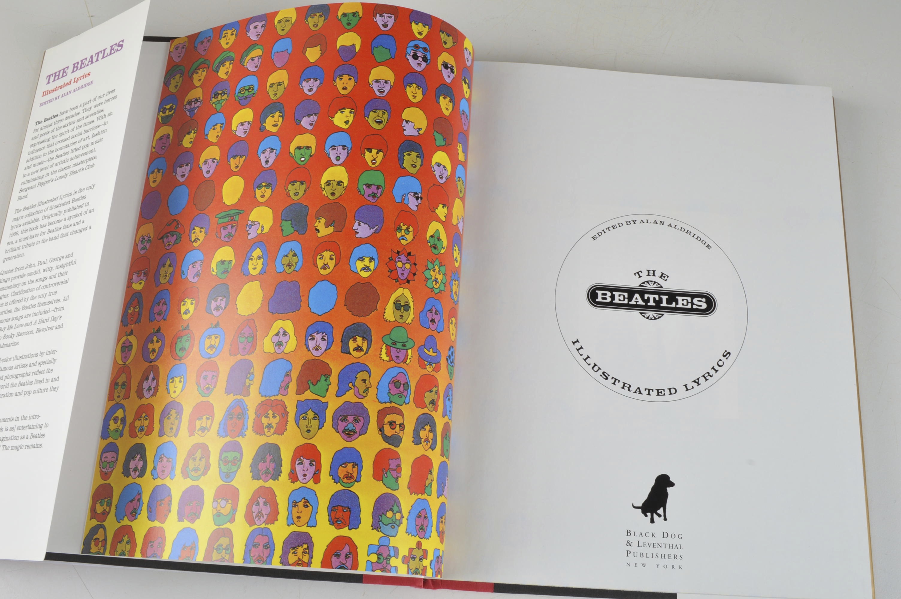 The Beatles Illustrated Lyrics Book