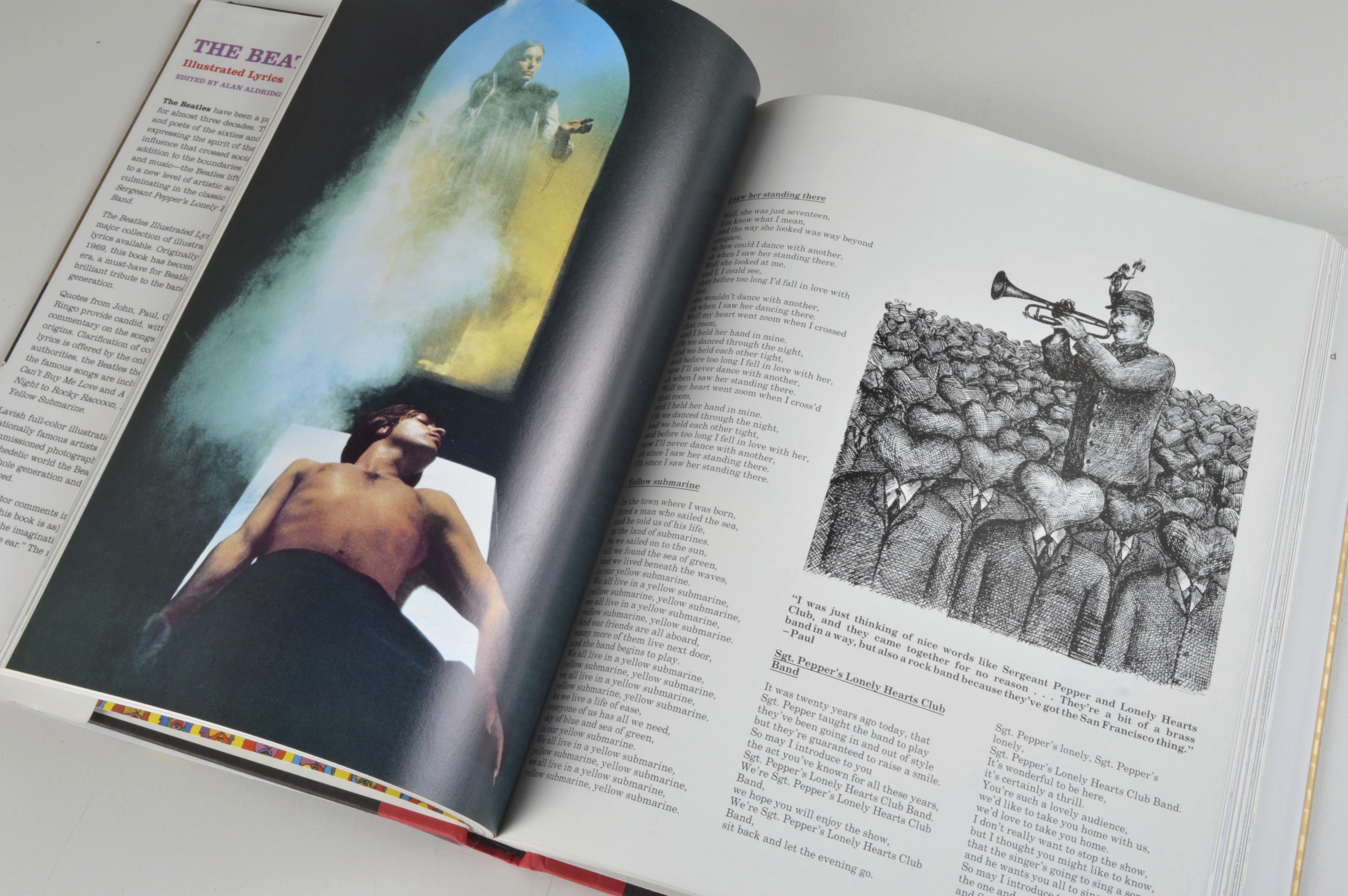 The Beatles Illustrated Lyrics Book