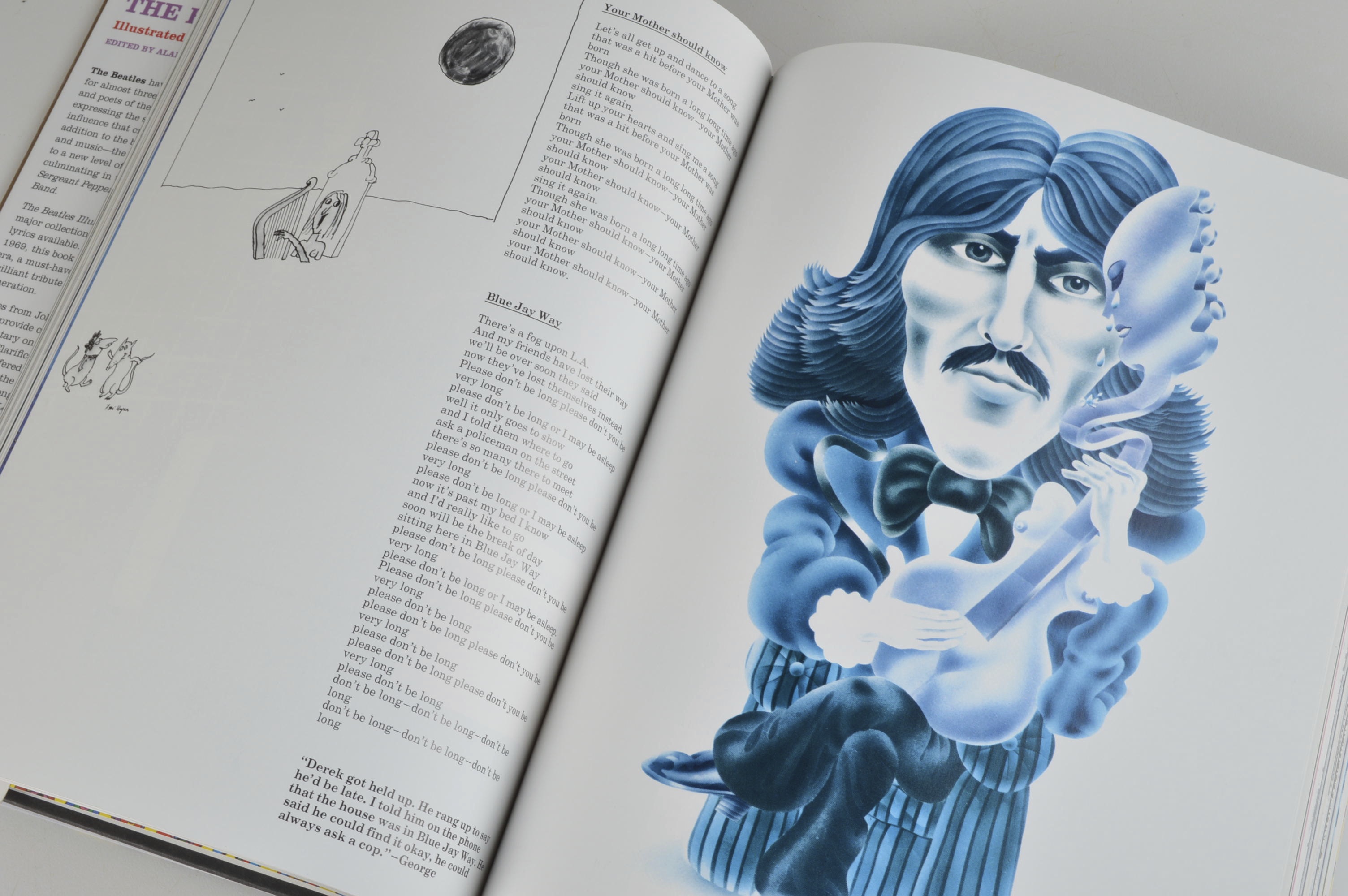 The Beatles Illustrated Lyrics Book