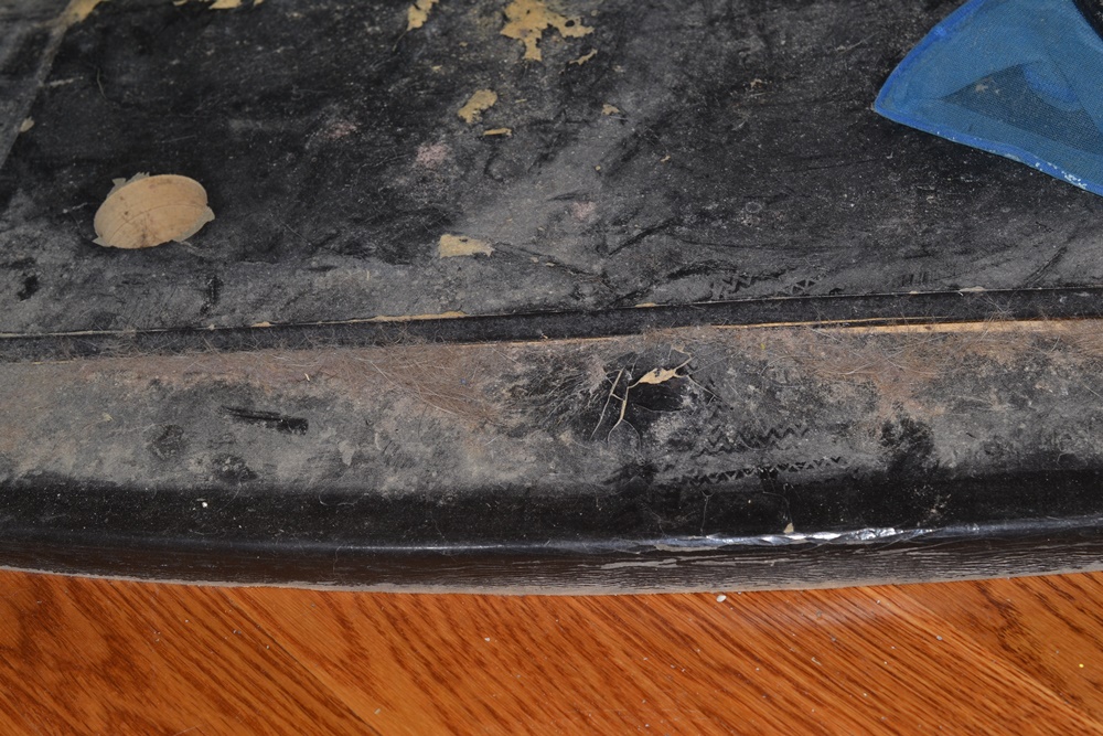 72-Gallon Oceanic Aquarium, Stand and Supplies