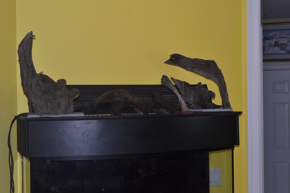 72-Gallon Oceanic Aquarium, Stand and Supplies