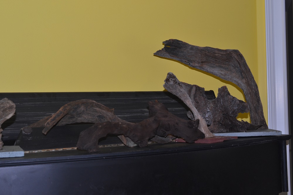 72-Gallon Oceanic Aquarium, Stand and Supplies