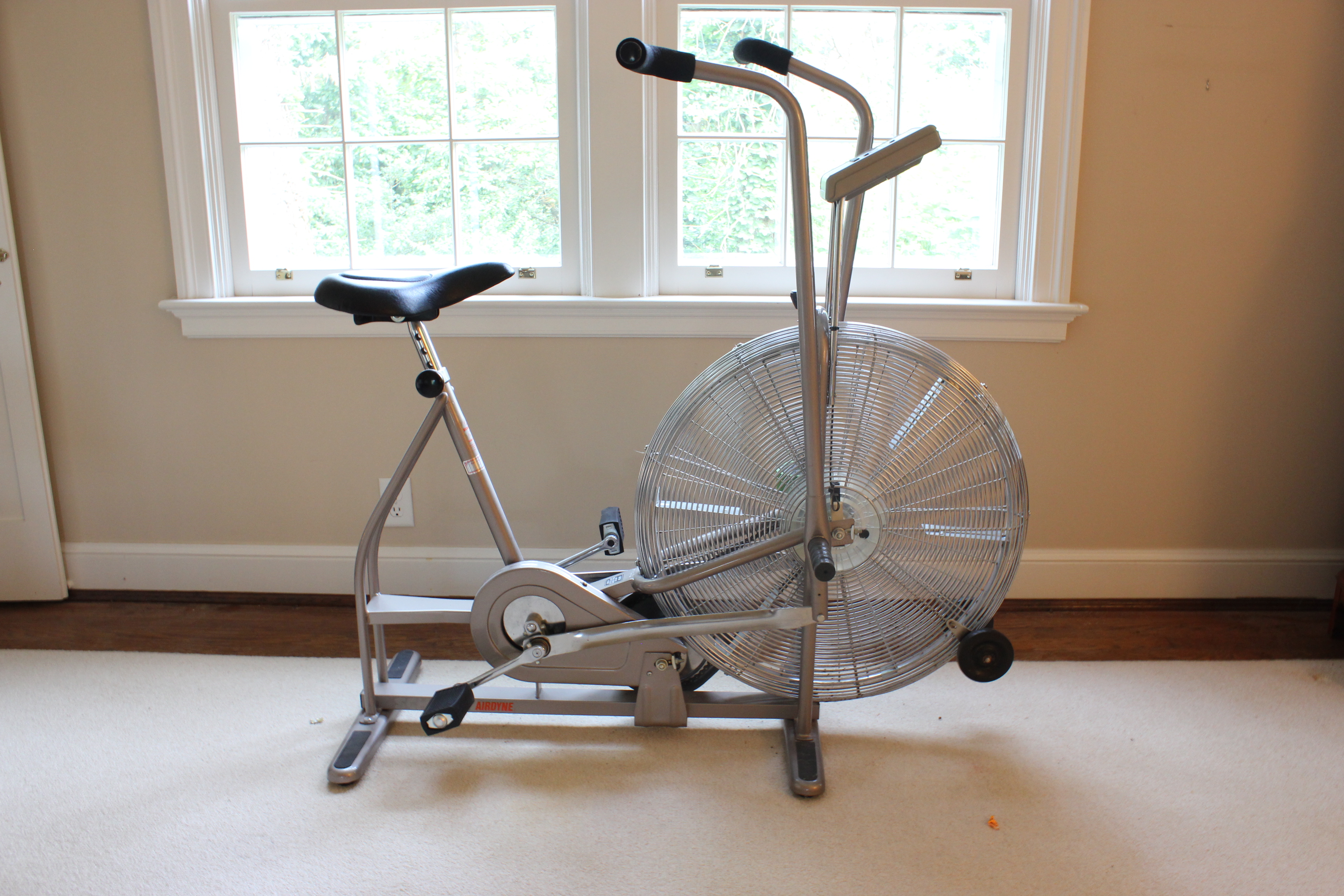 Schwinn Airdyne Exercise Bike