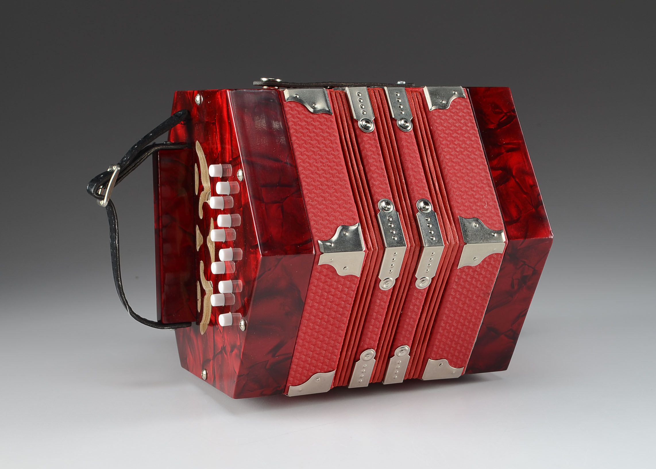 A 20-Button Concertina Squeeze Box 