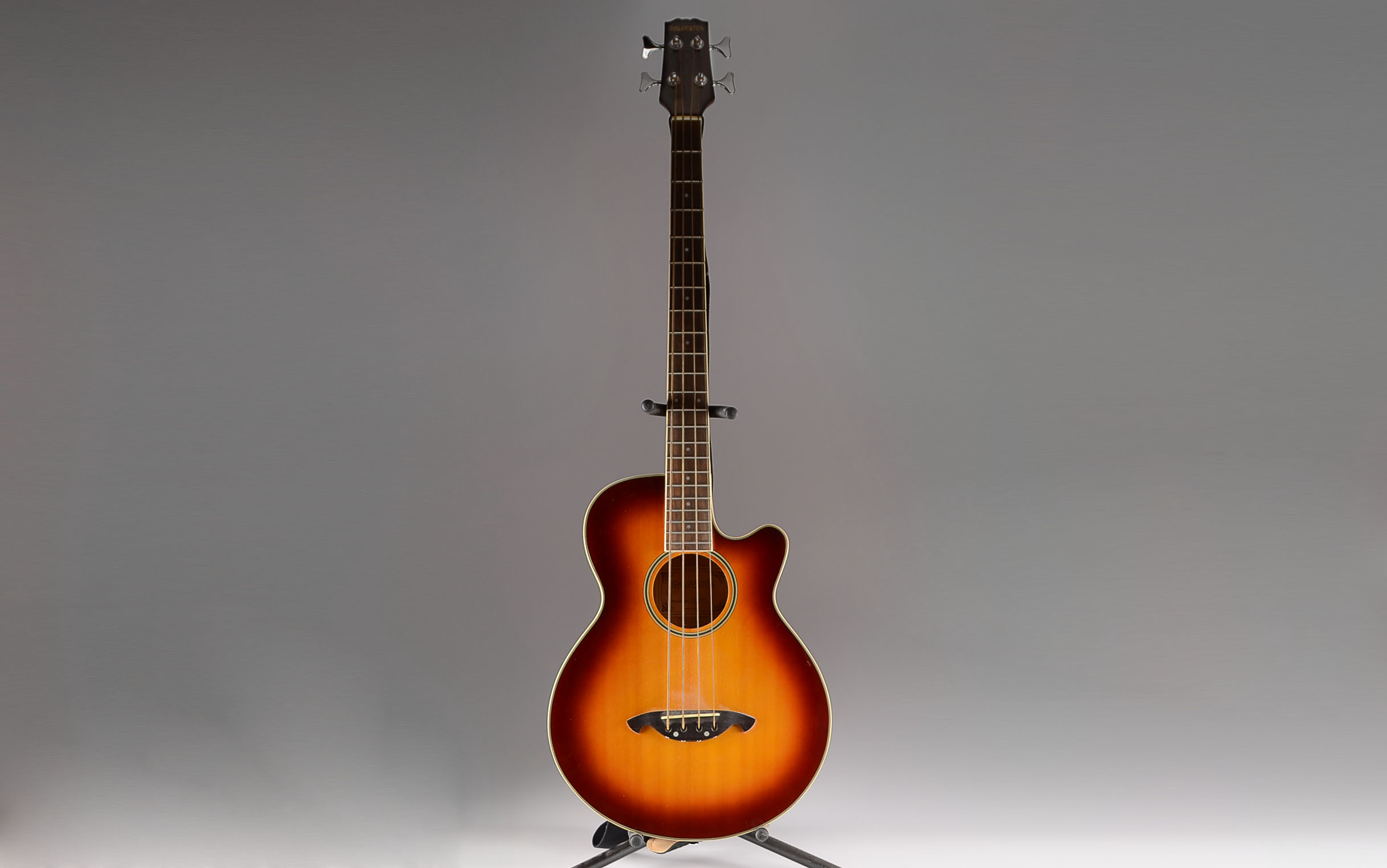 Galveston Acoustic Bass Guitar