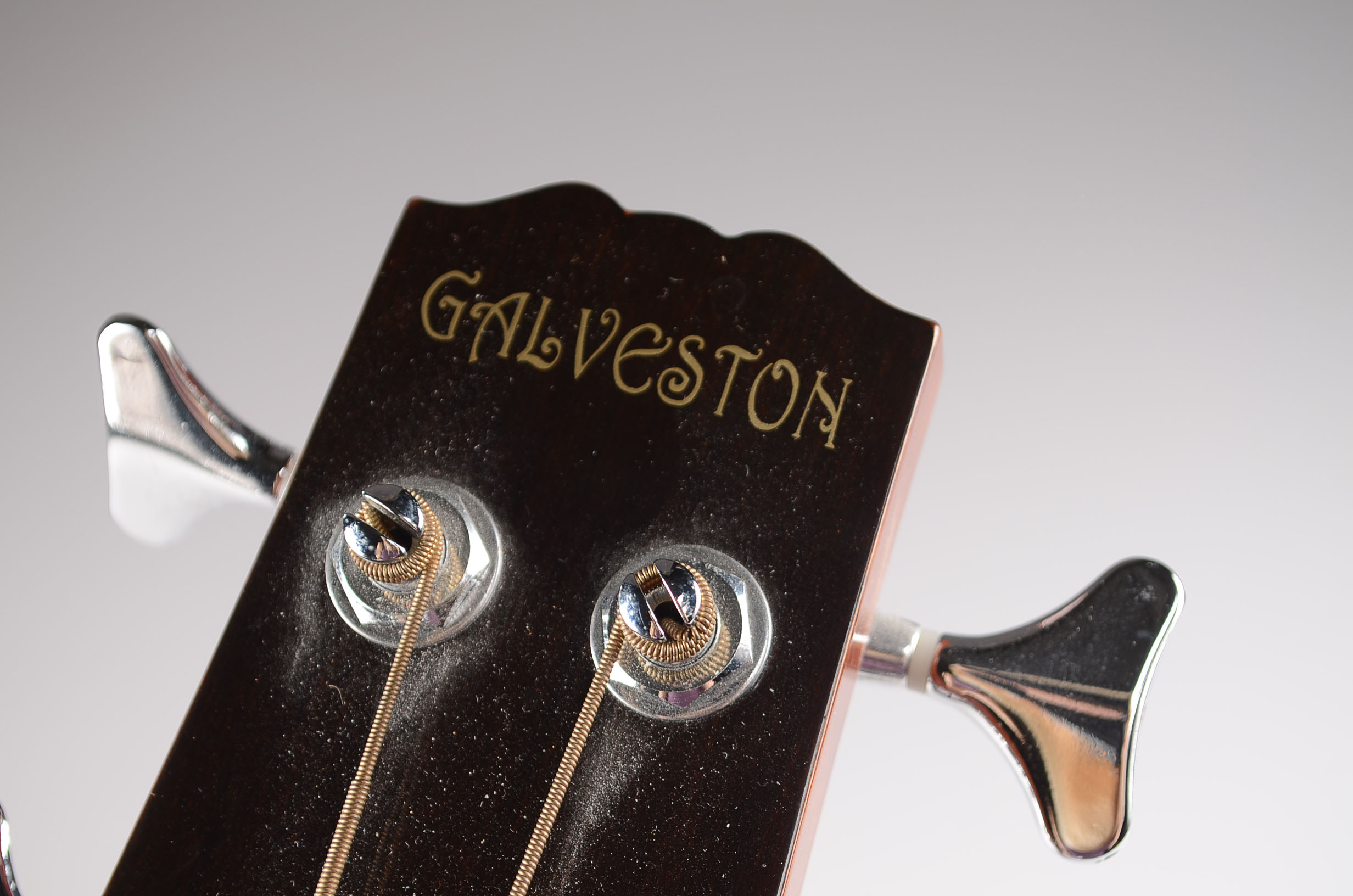 Galveston Acoustic Bass Guitar