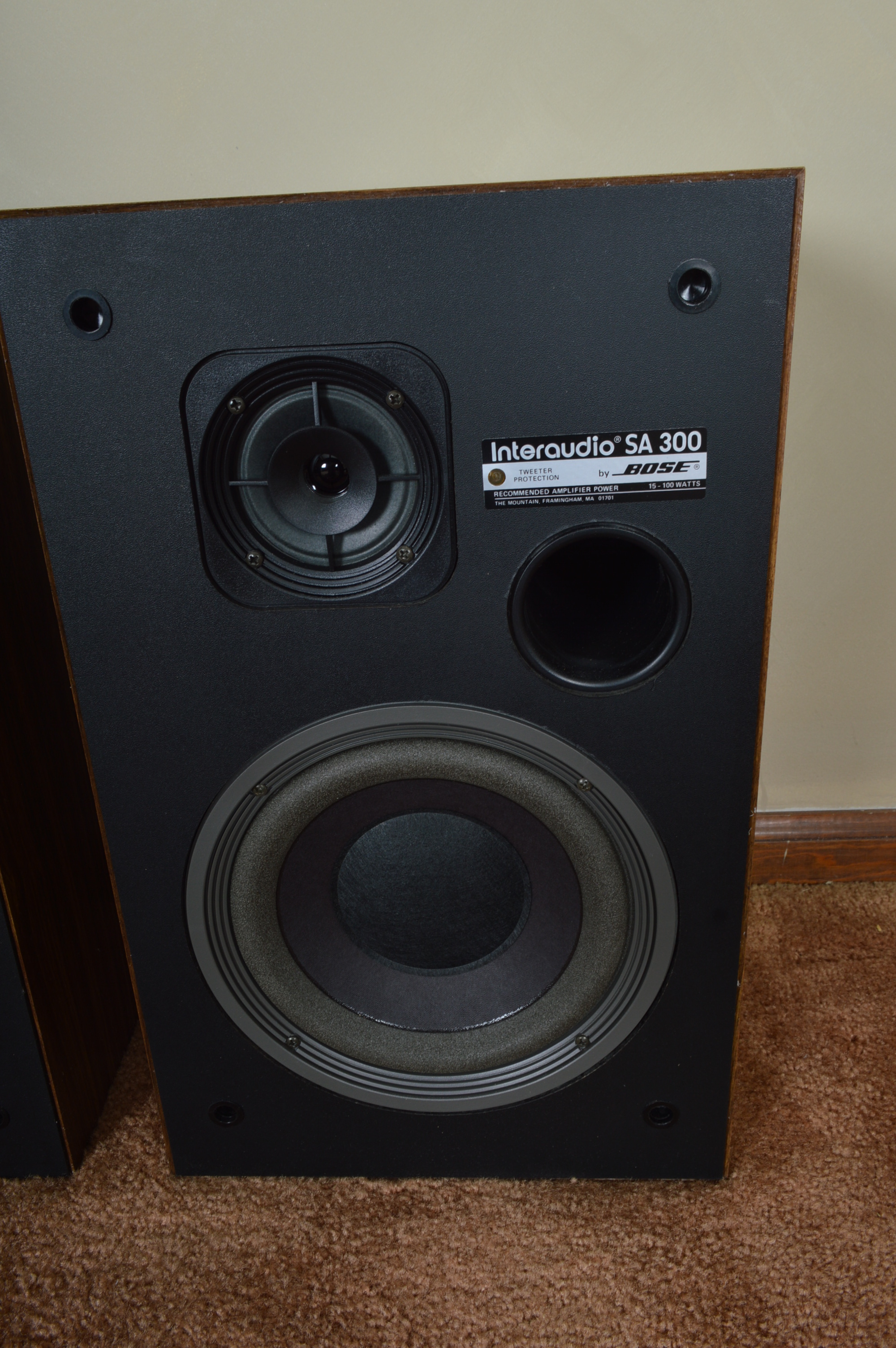Vintage Bose Bookshelf Speakers