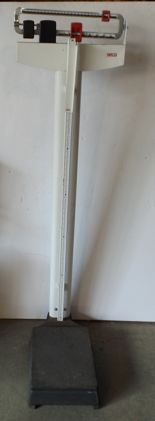 Seca Professional Mechanical Column Scale