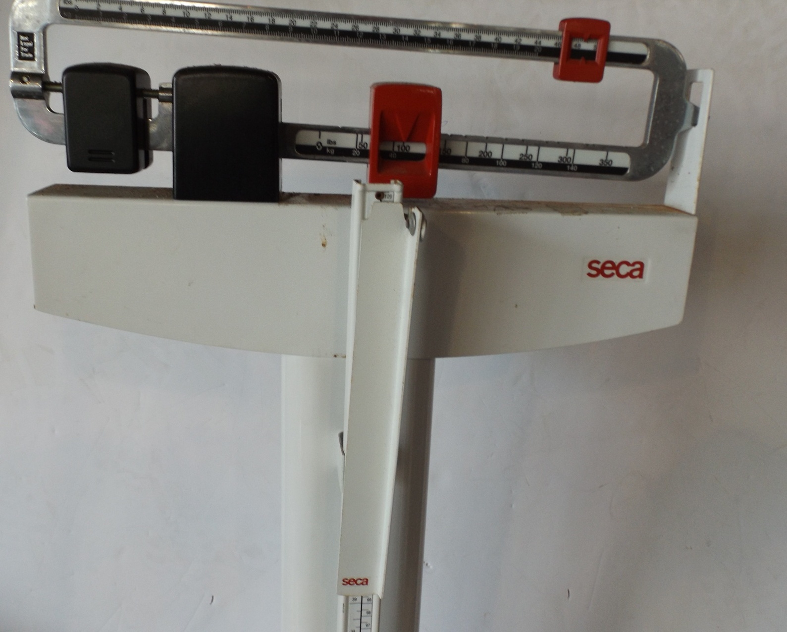 Seca Professional Mechanical Column Scale