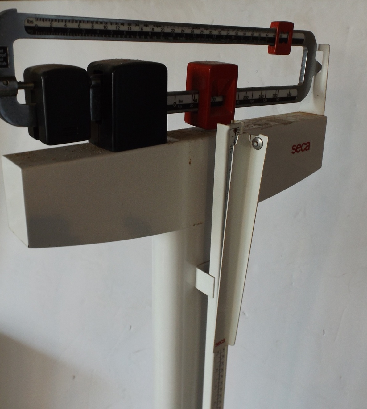 Seca Professional Mechanical Column Scale