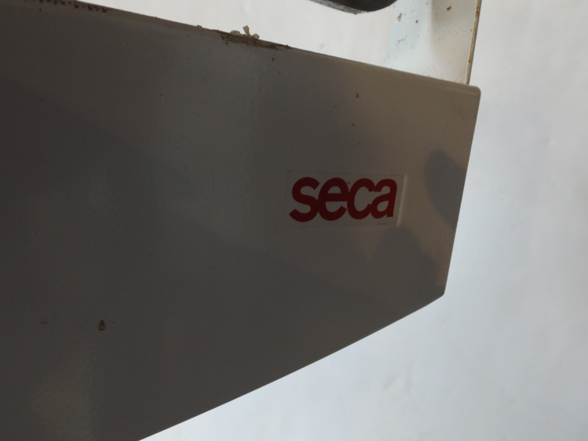 Seca Professional Mechanical Column Scale