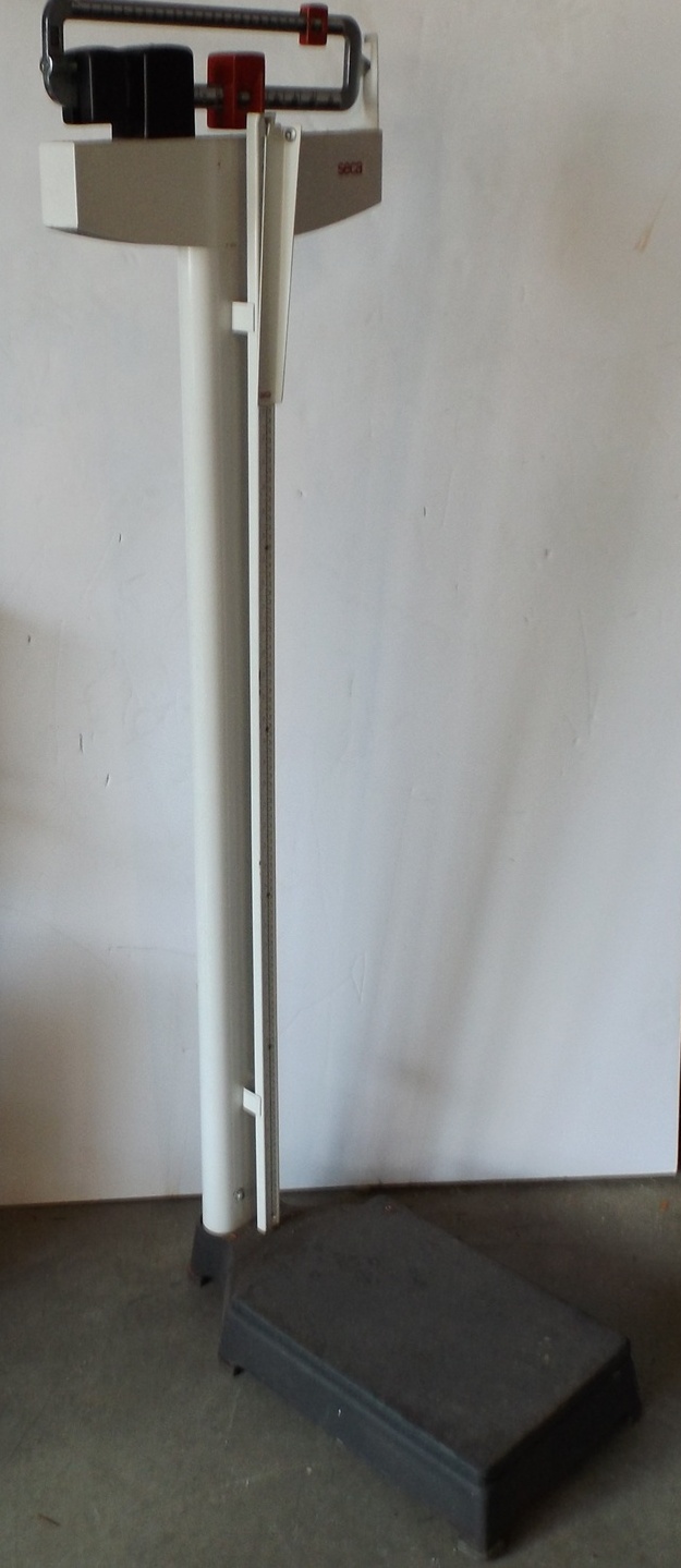 Seca Professional Mechanical Column Scale