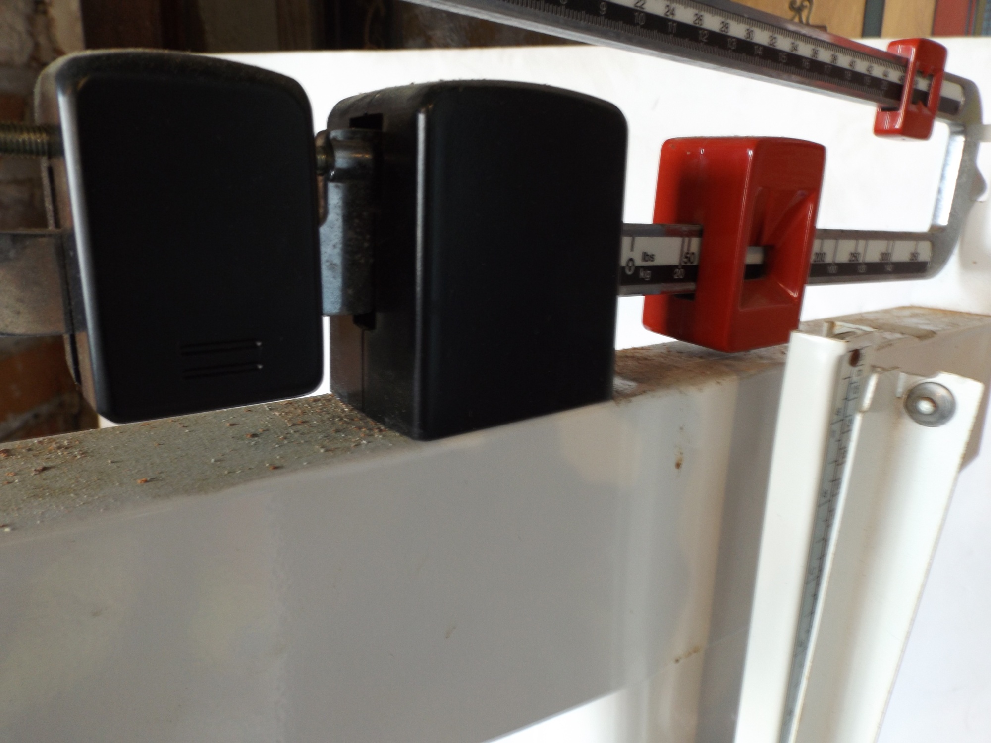 Seca Professional Mechanical Column Scale