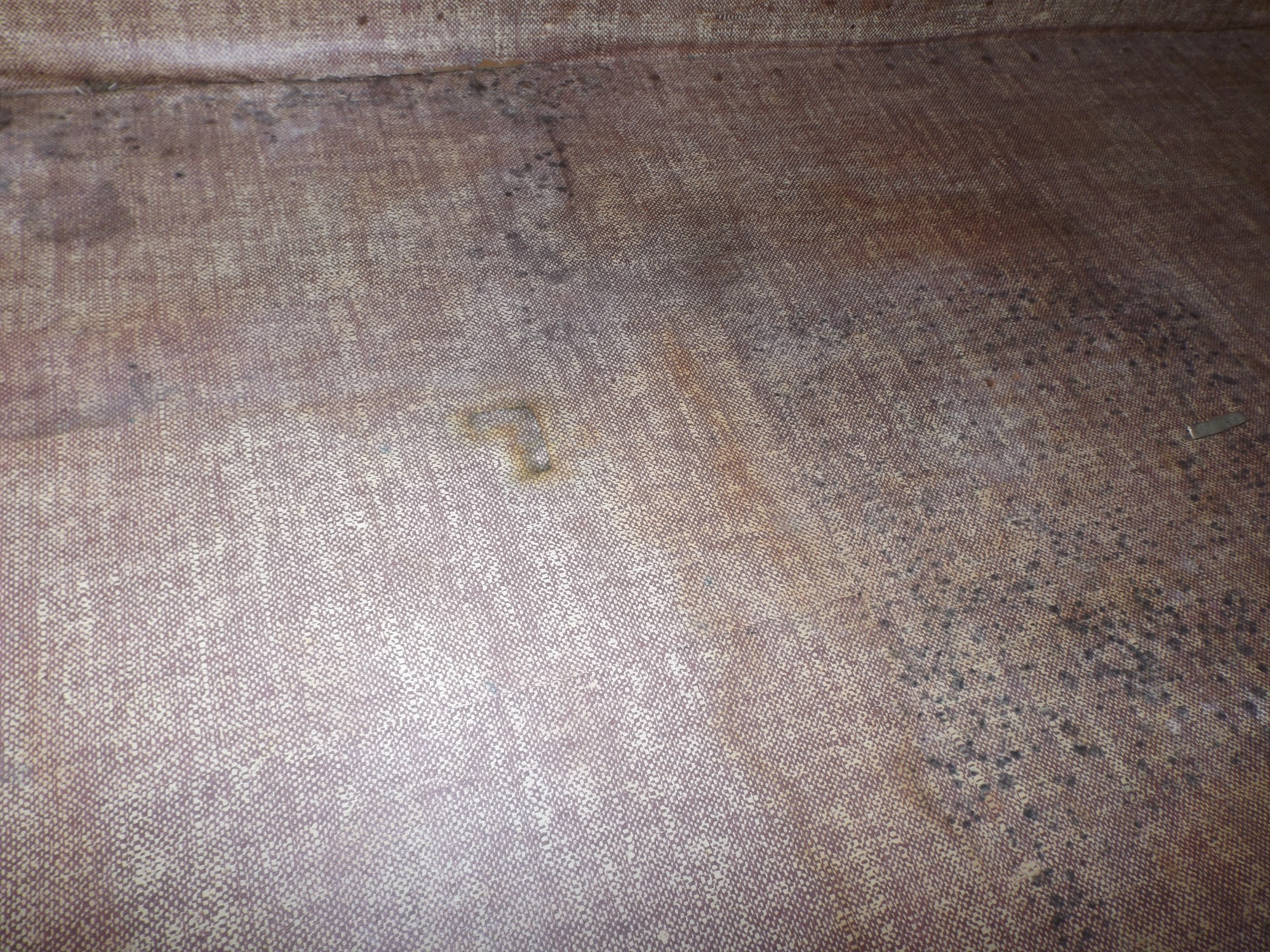 Foot Locker with Travel Stickers