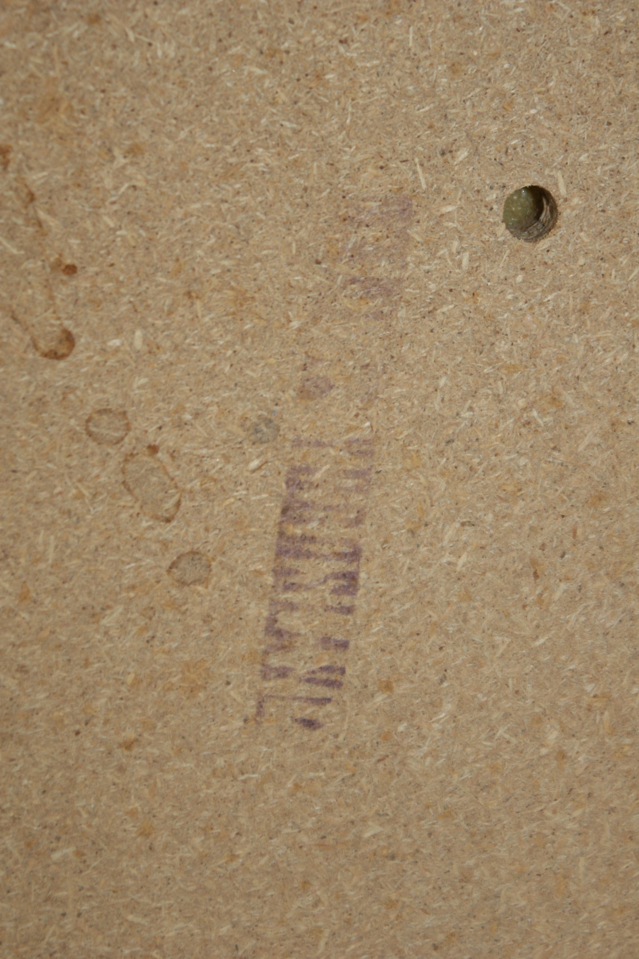 Pair of Solid Wood Chairs with Woven Fabric Seats