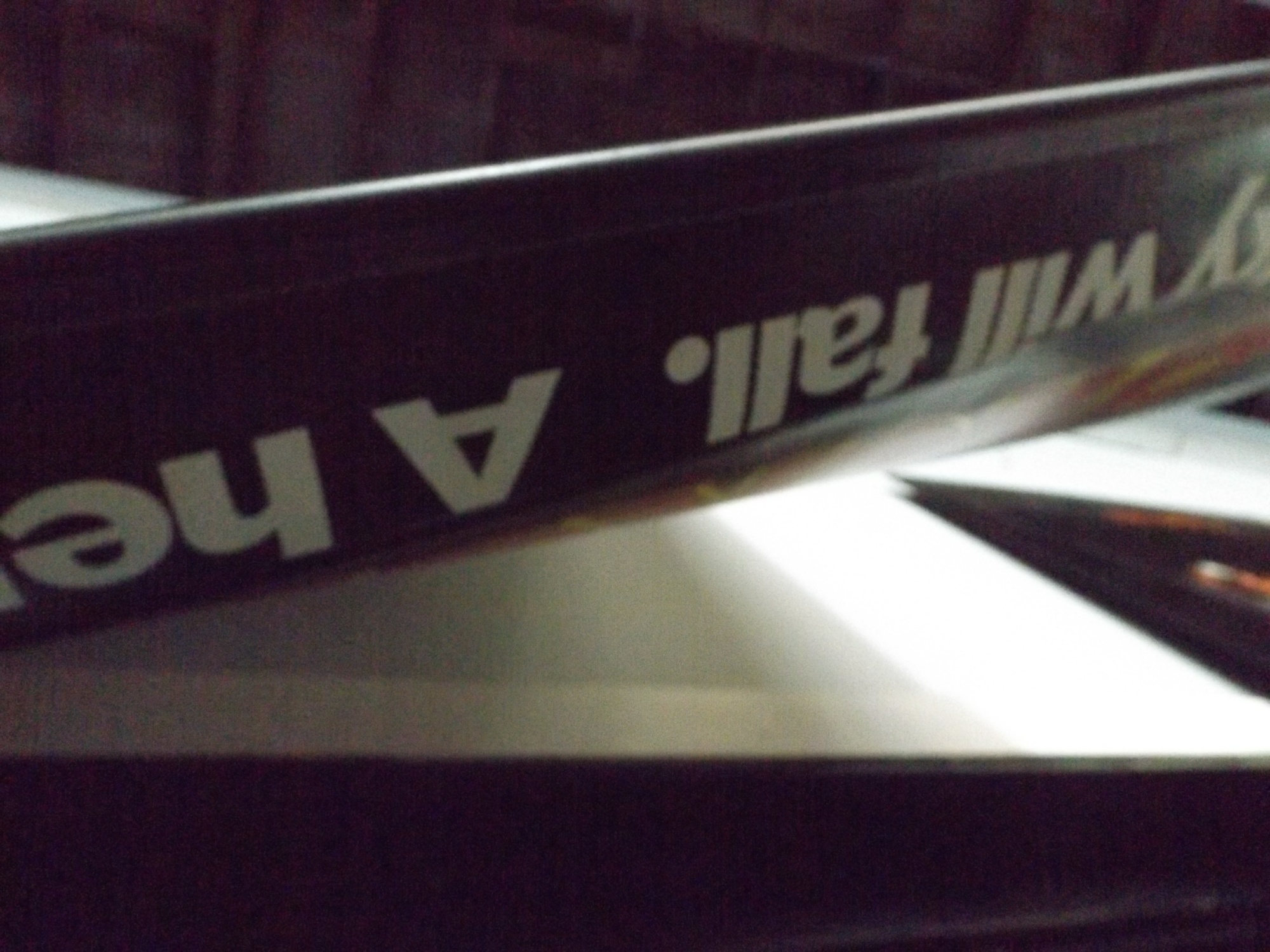 Disney 'Chicken Little' Vinyl Movie Poster