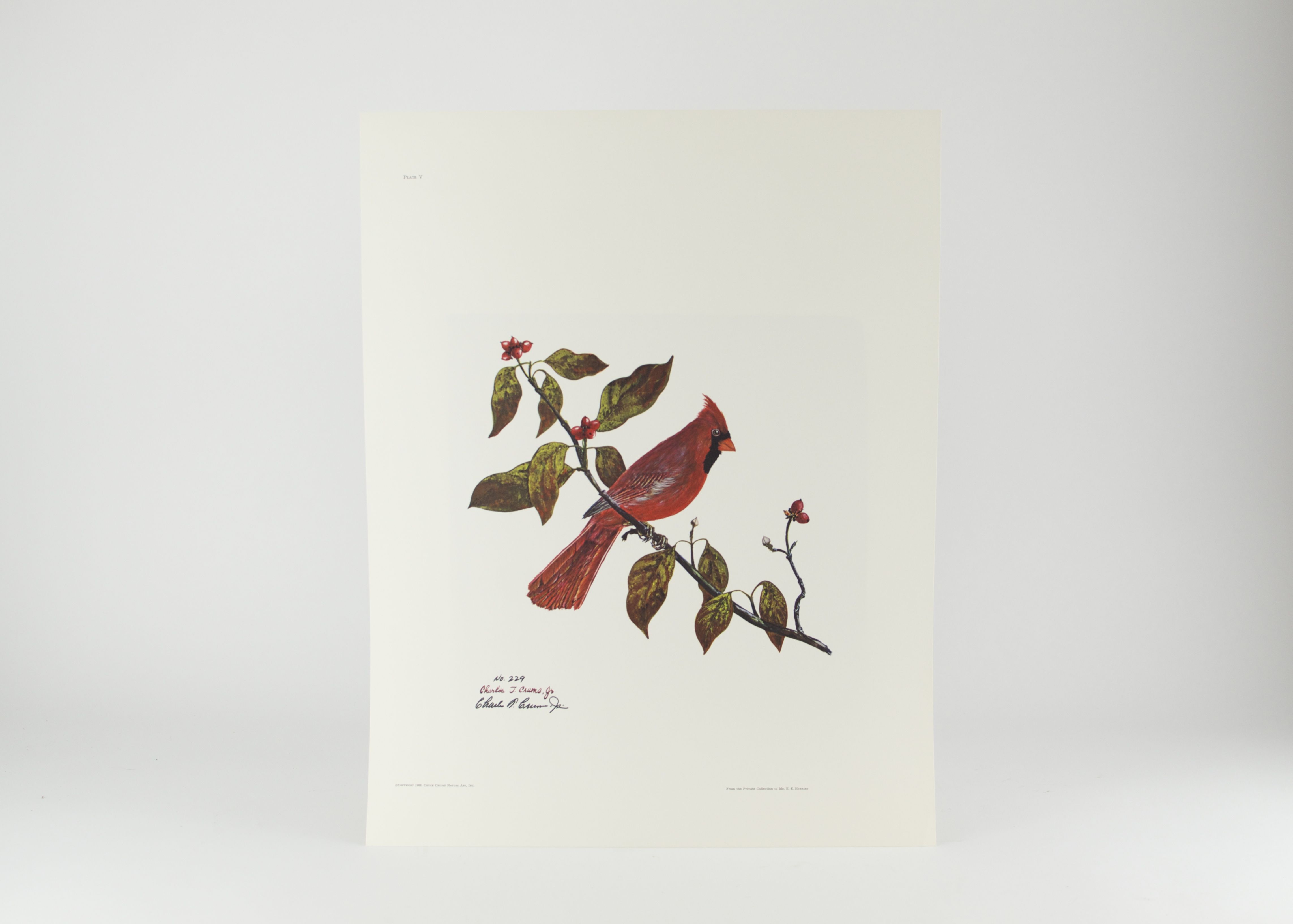 Signed and Numbered Charles T. Crume Jr. Print