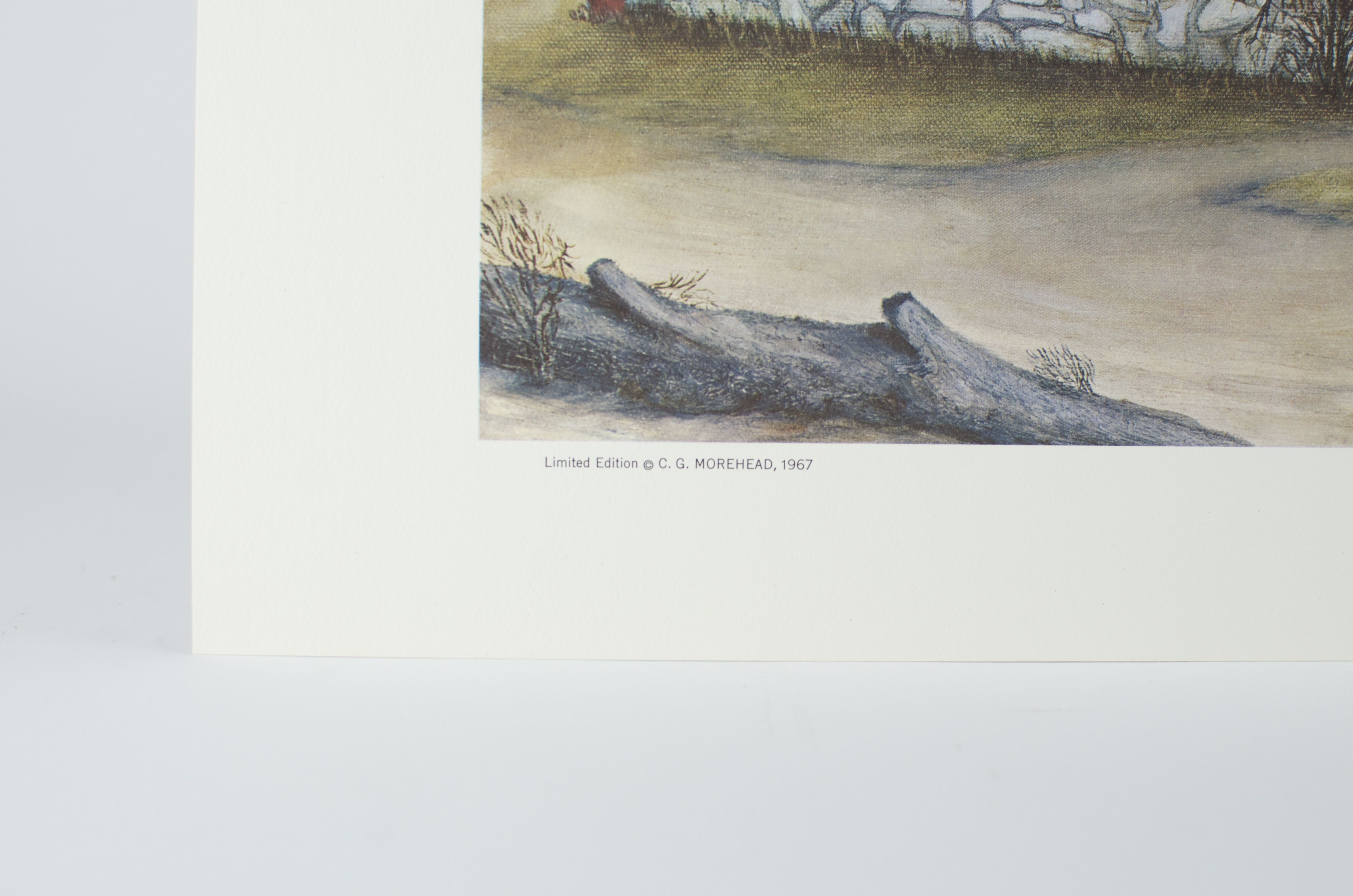 Signed C.G. Morehead Print