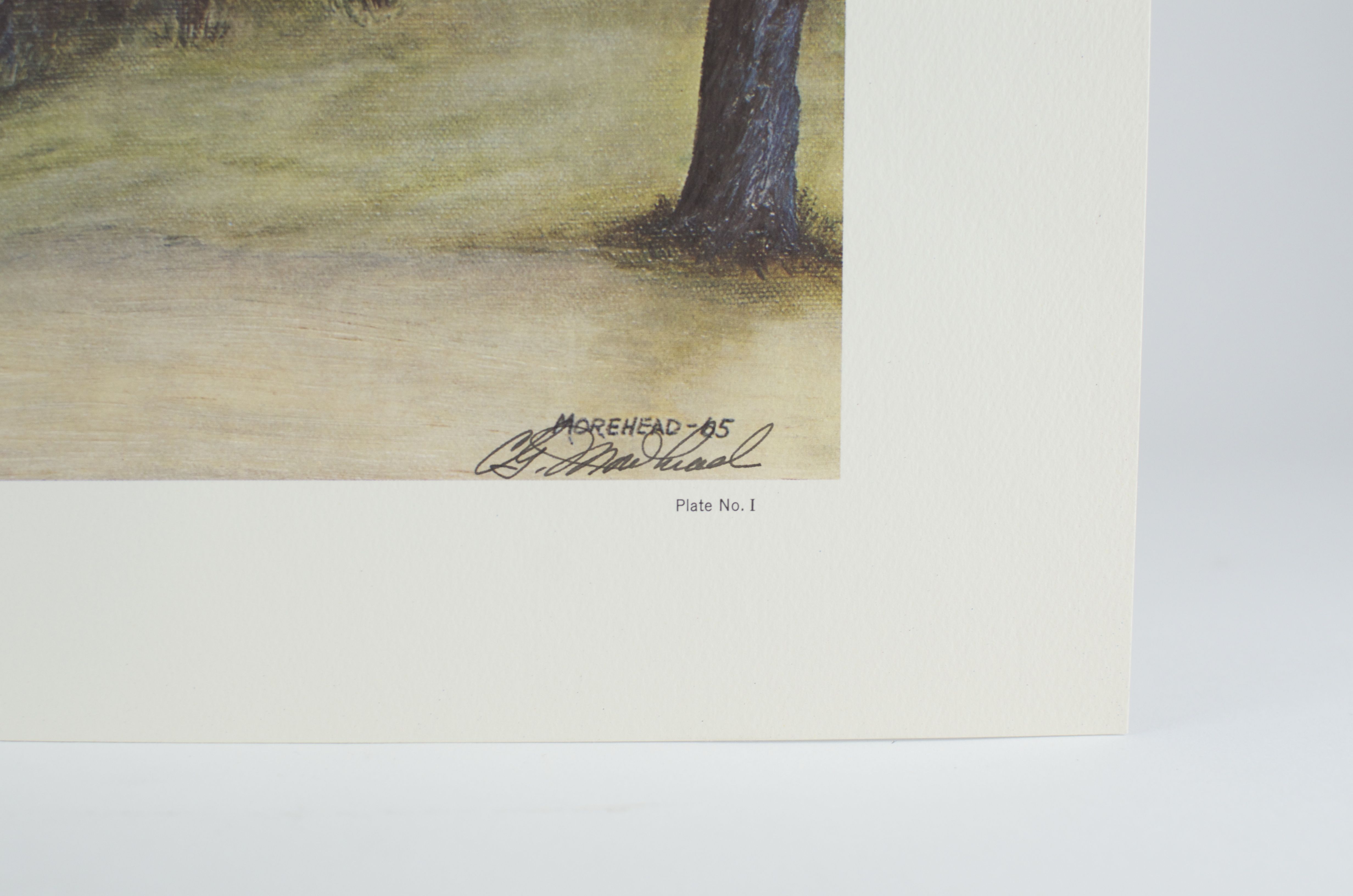 Signed C.G. Morehead Print