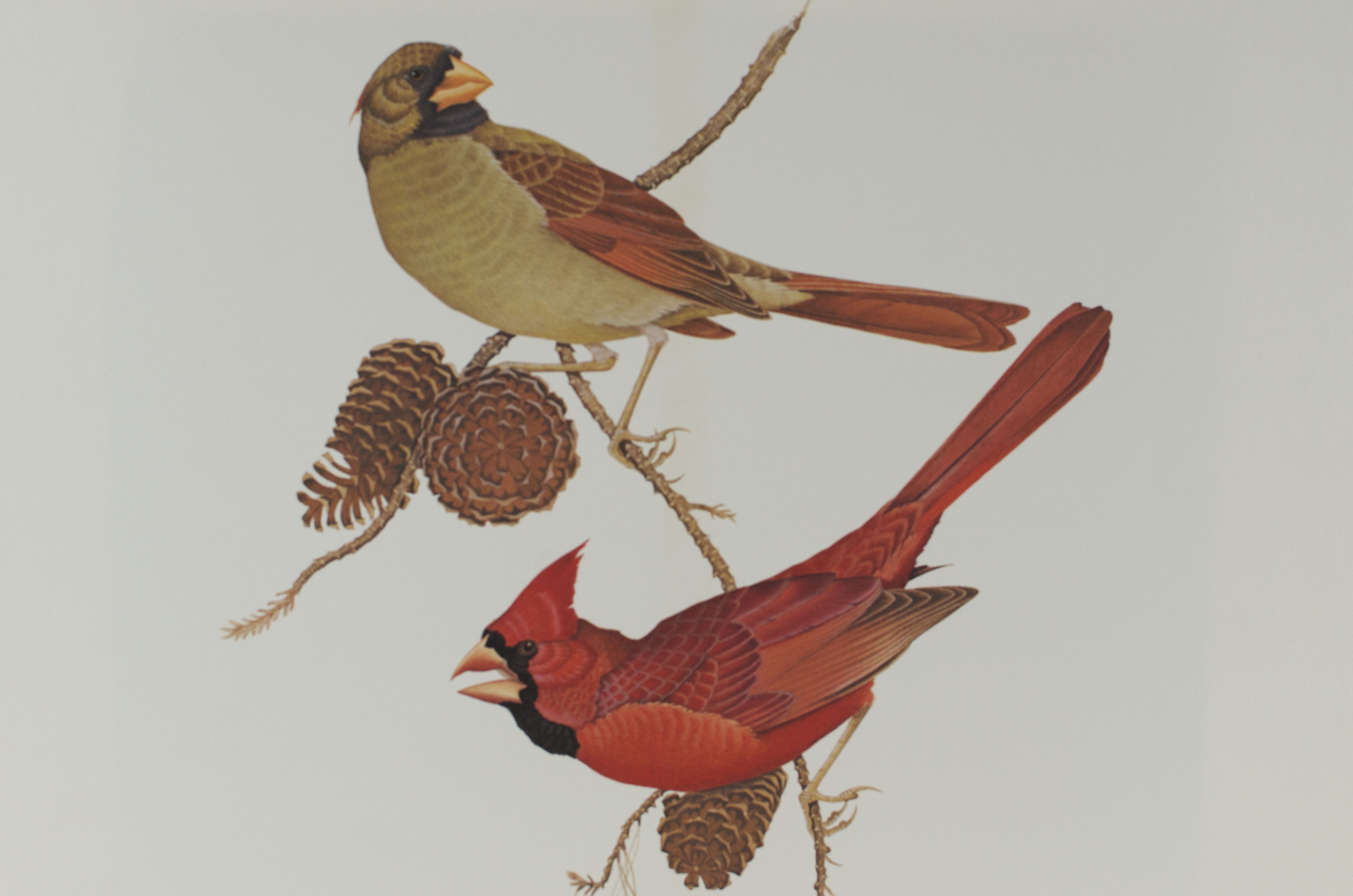 Jim Oliver Signed Print "Cardinals"