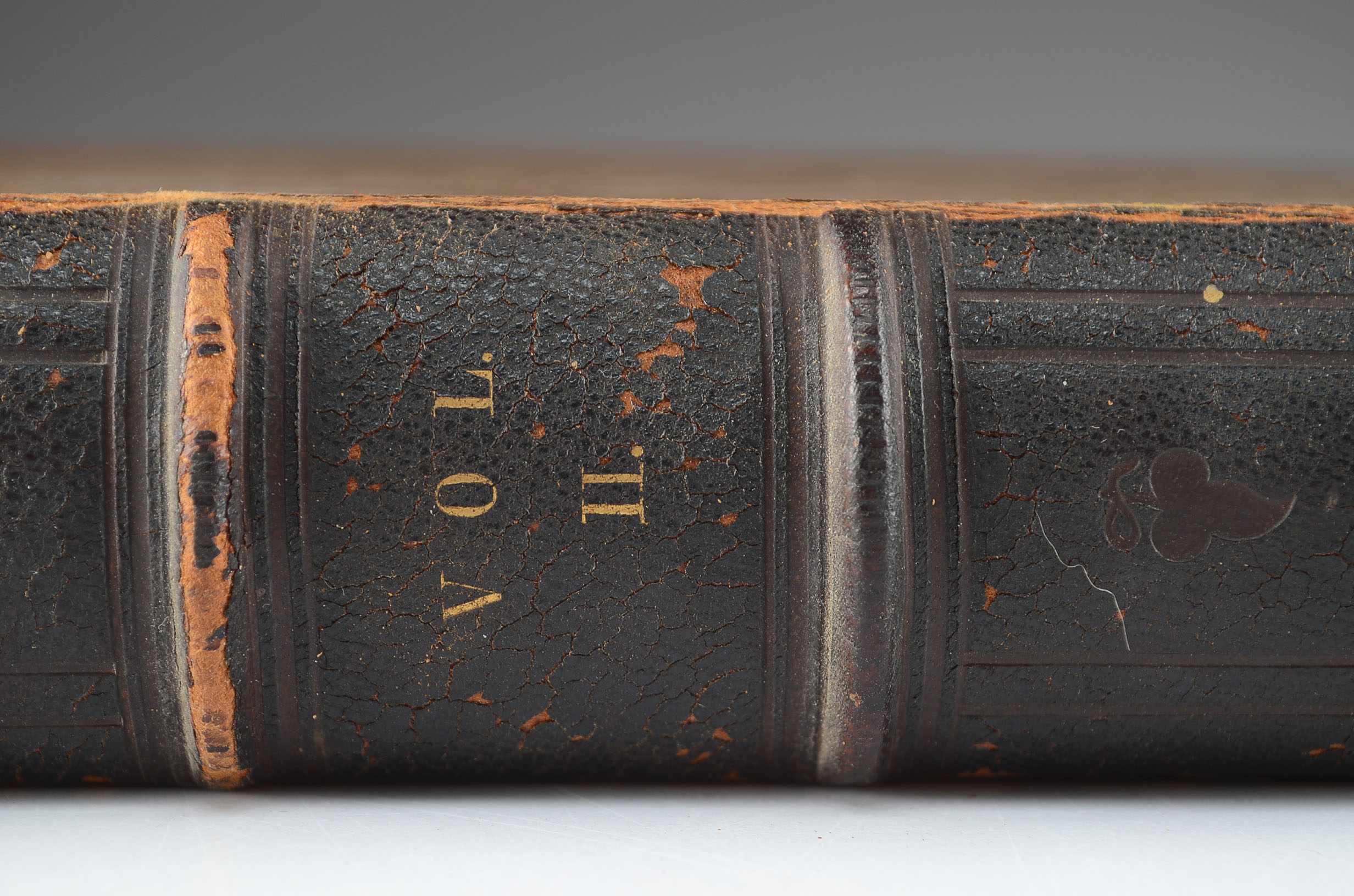 Antique Leather-Bound Copy of "The National Portrait Gallery"