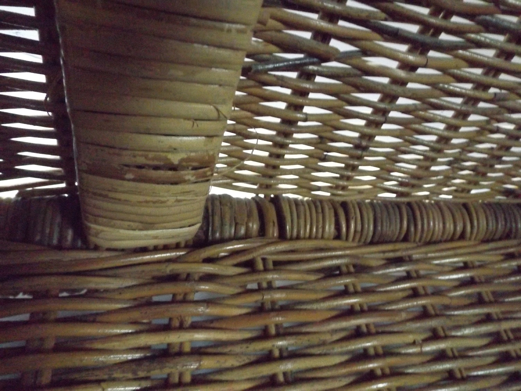 Woven Wicker Trunk