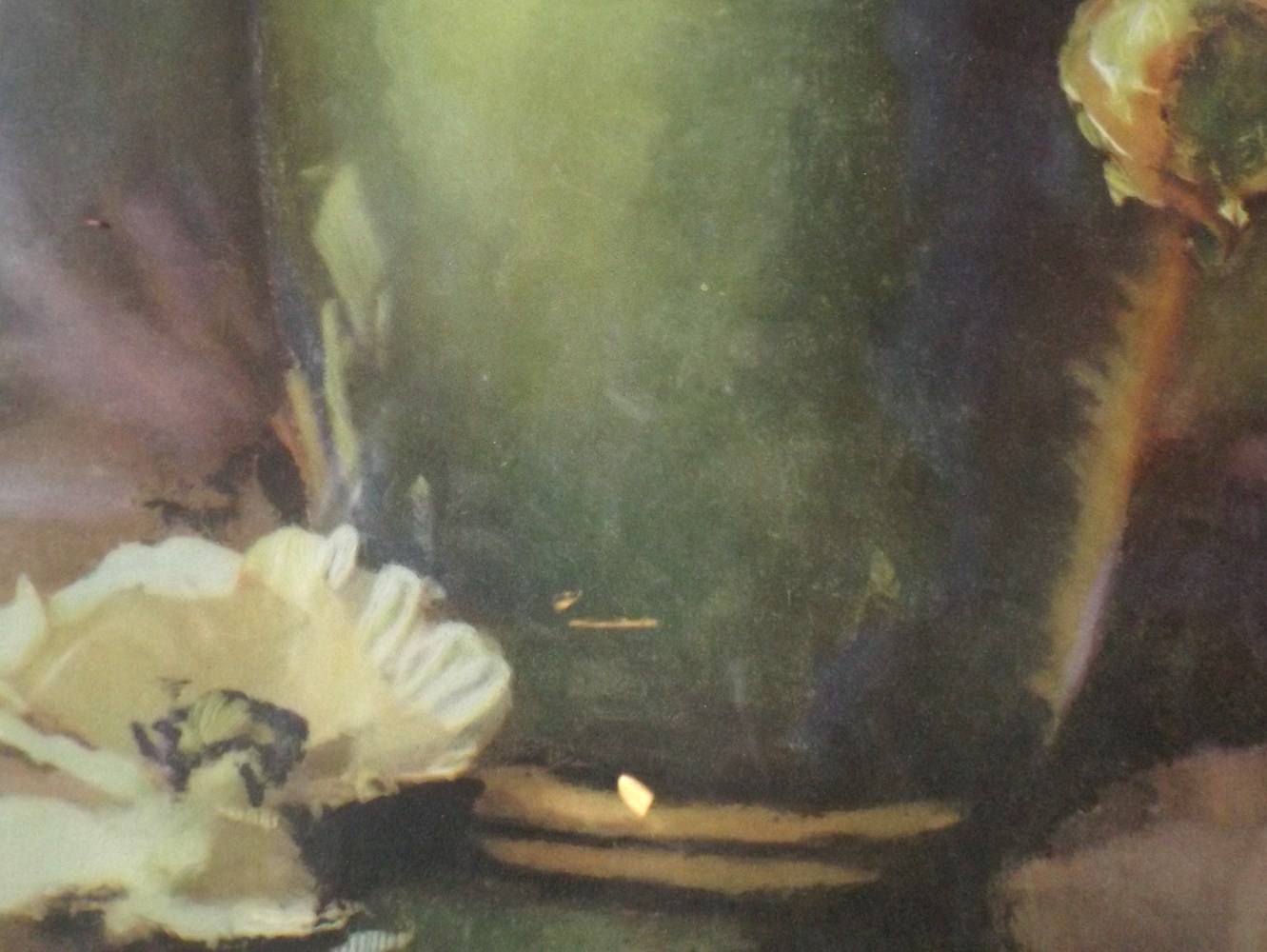 Vintage Poppies Lithograph