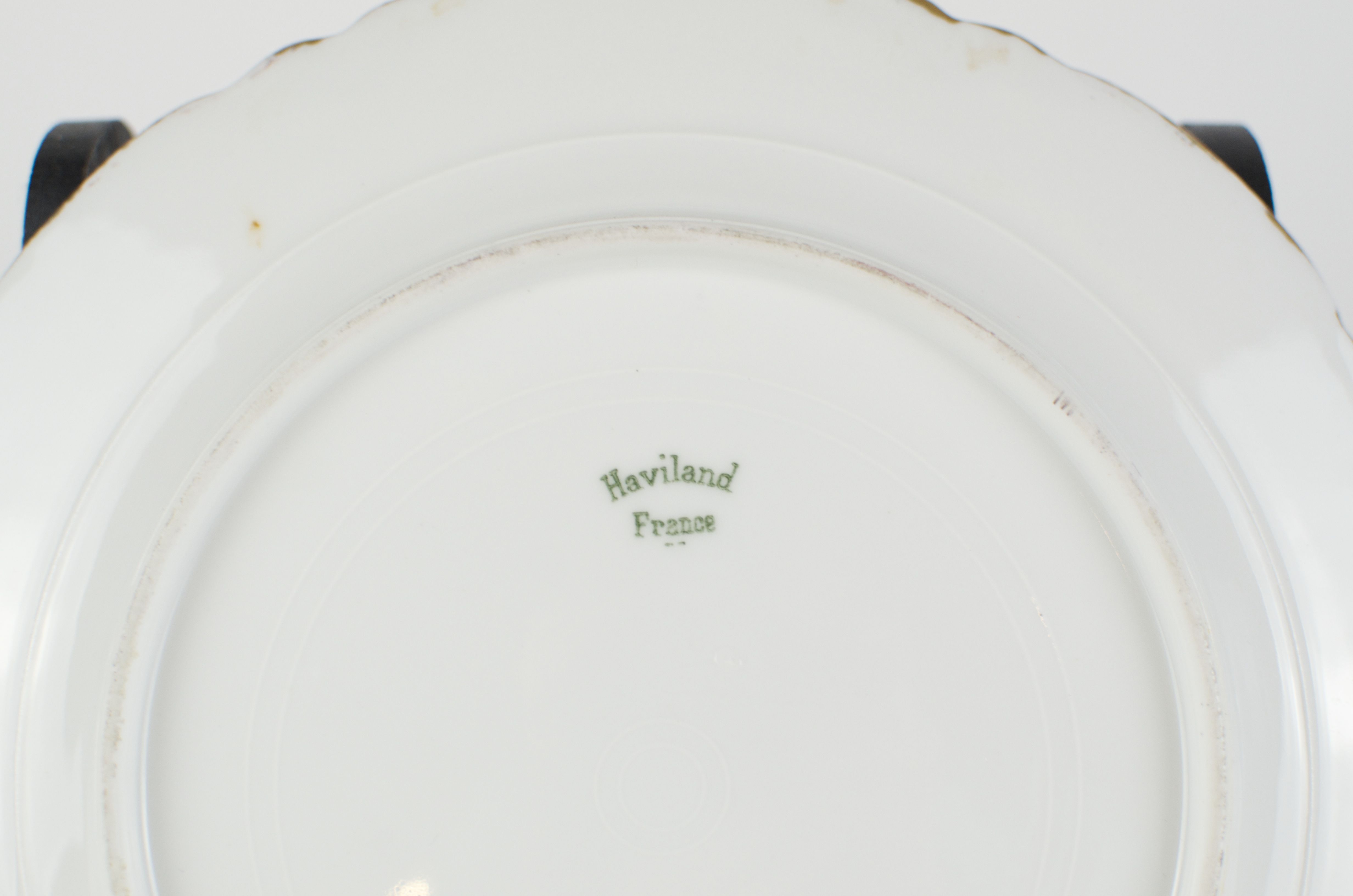 39-Piece Porcelain Luncheon Plates