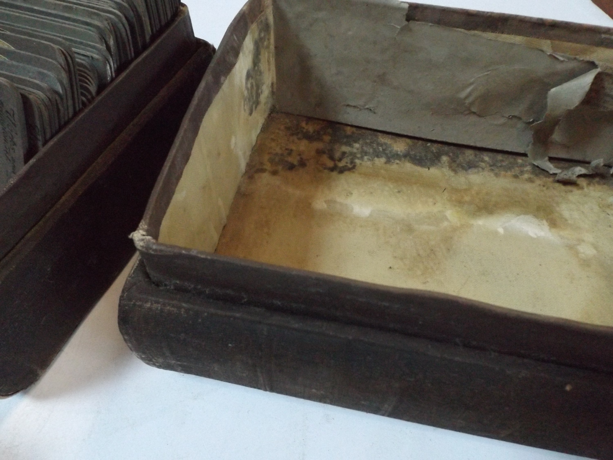 Vintage Cameras and Stereoscopic Cards