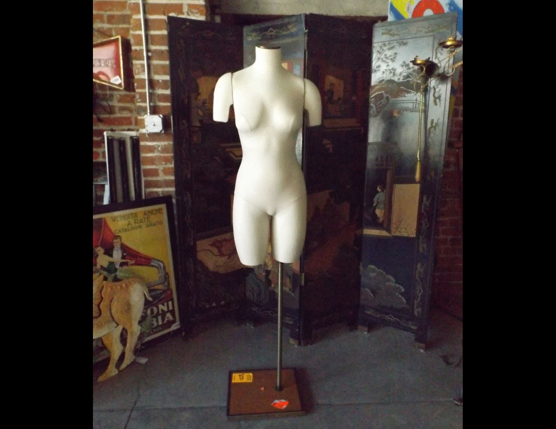 Professional Display Mannequin