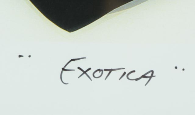 Signed and Framed Print of Abstract "Exotica" by Marvin Murphy