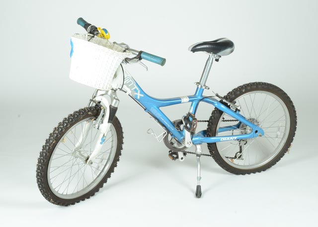 Giant MTX 125 7-Speed Children's Bicycle